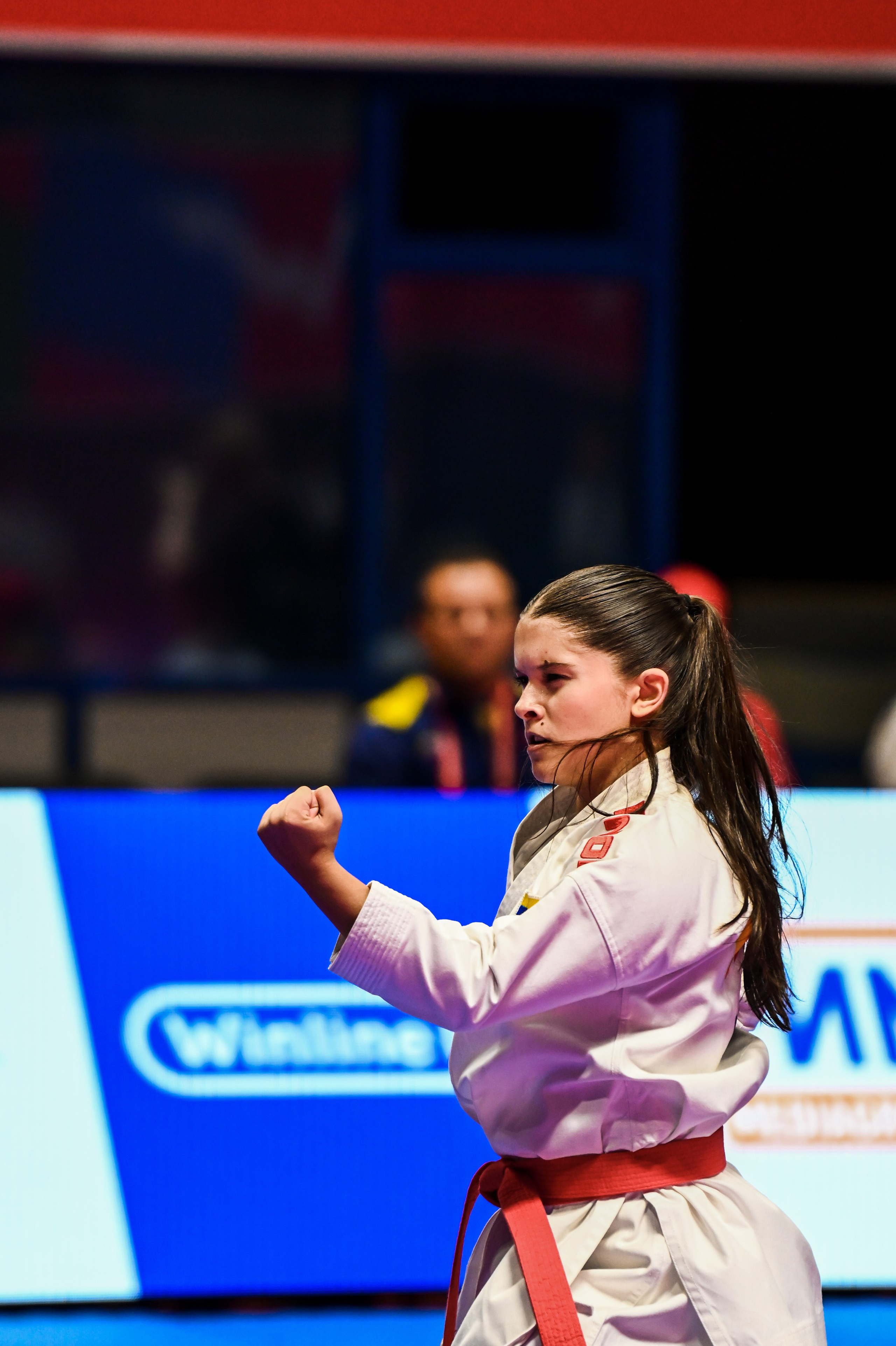 Каратэ «Спортивные игры стран БРИКС». Спортивный и репортажный фотограф в Казани Вячеслав Сатонин