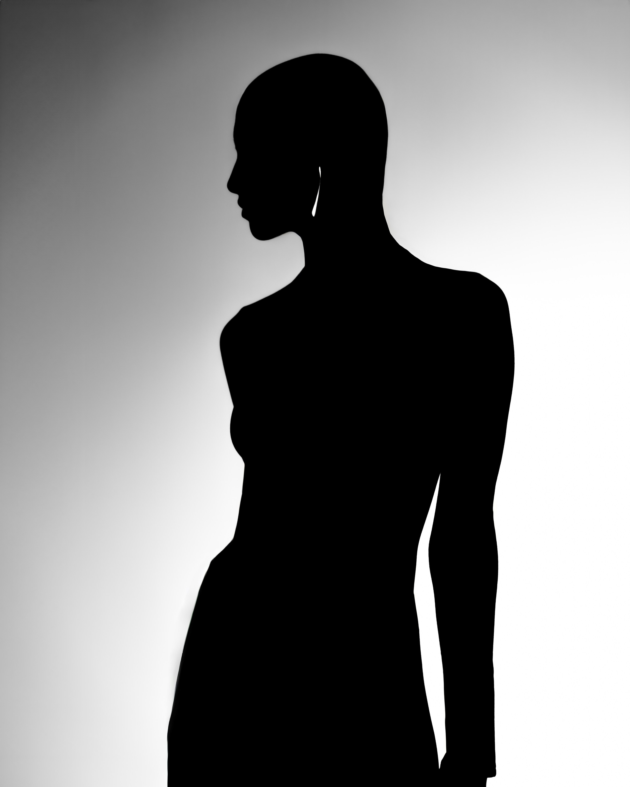 Silhouette / Art project