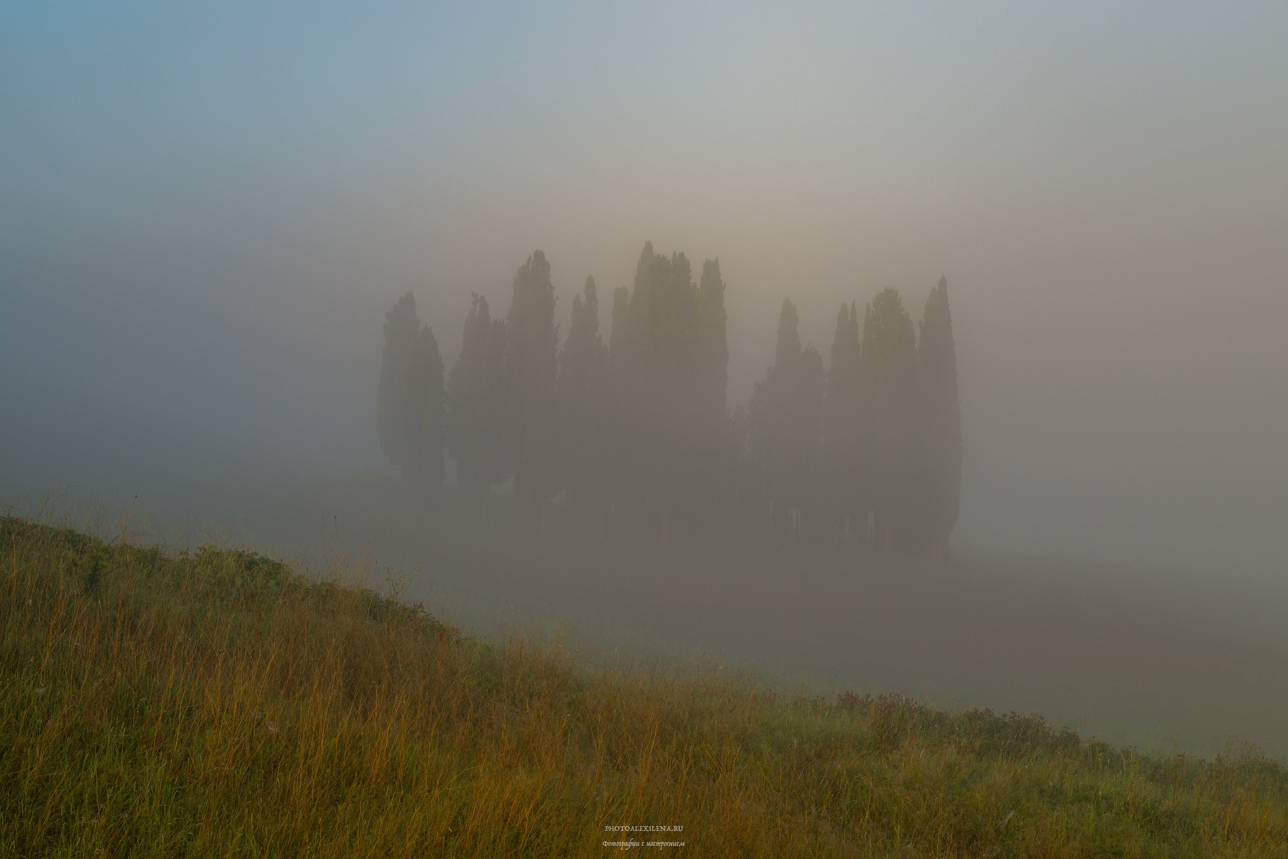 Великолепная Тоскана. Авторские стильные фотокартины