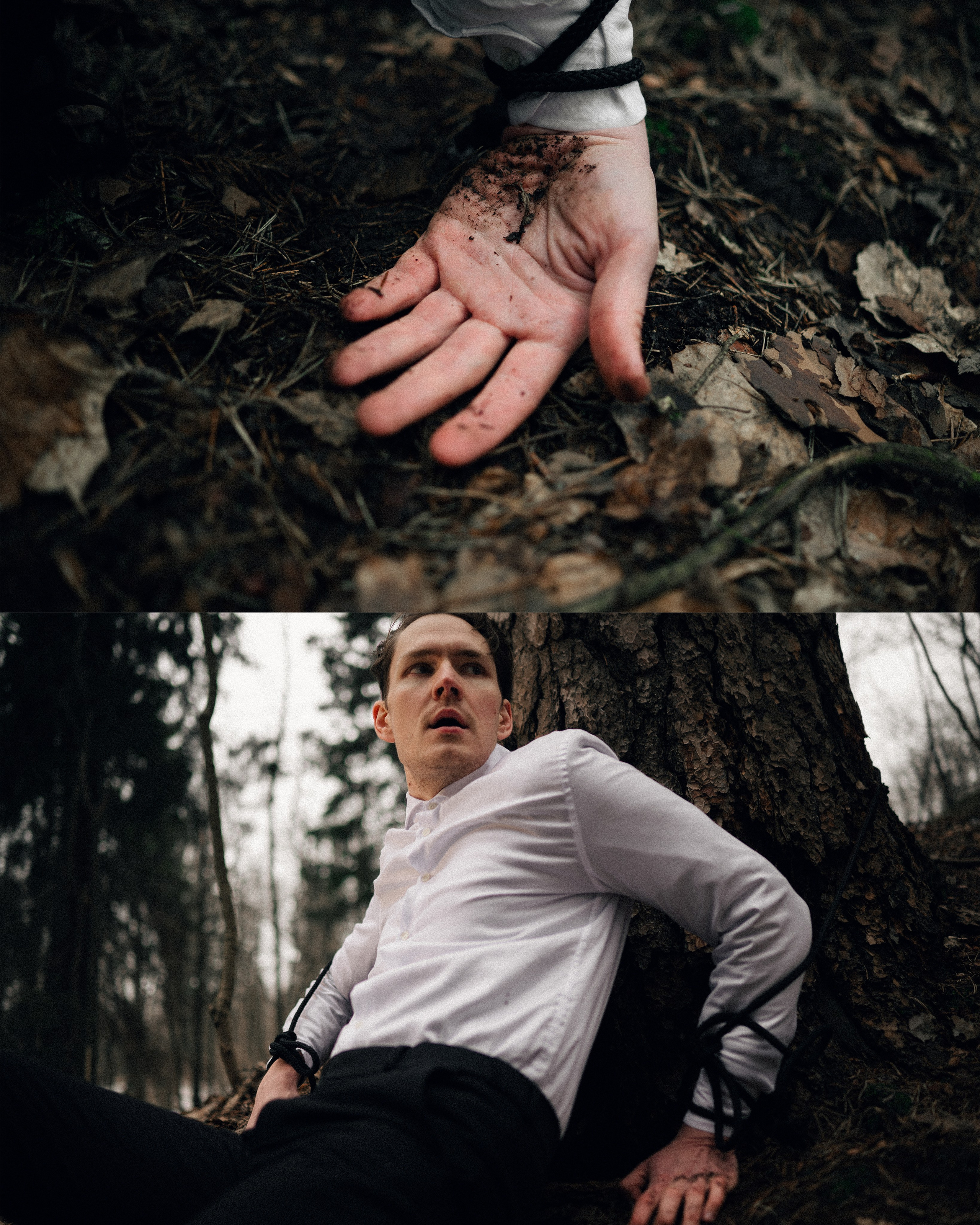 Фёдор Ивицкий (Всеволожск). Непарадное в парадных