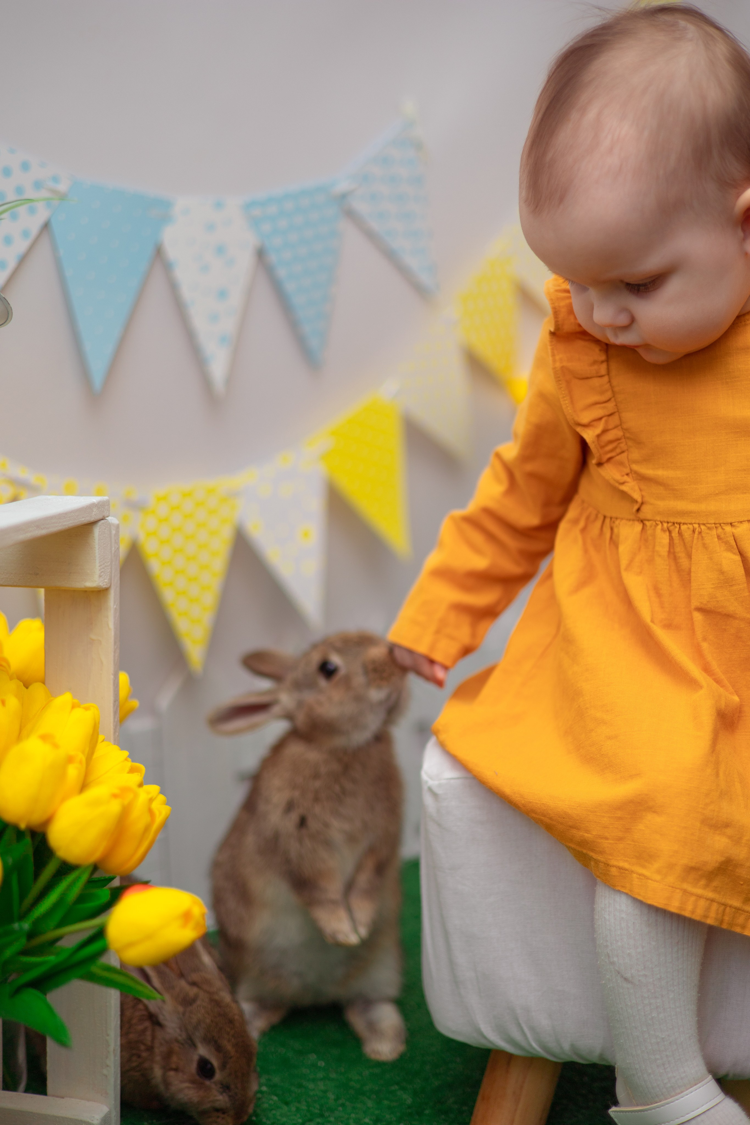 Вероника кролики. Семейный и детский фотограф в Михайловке Татьяна Лестьева