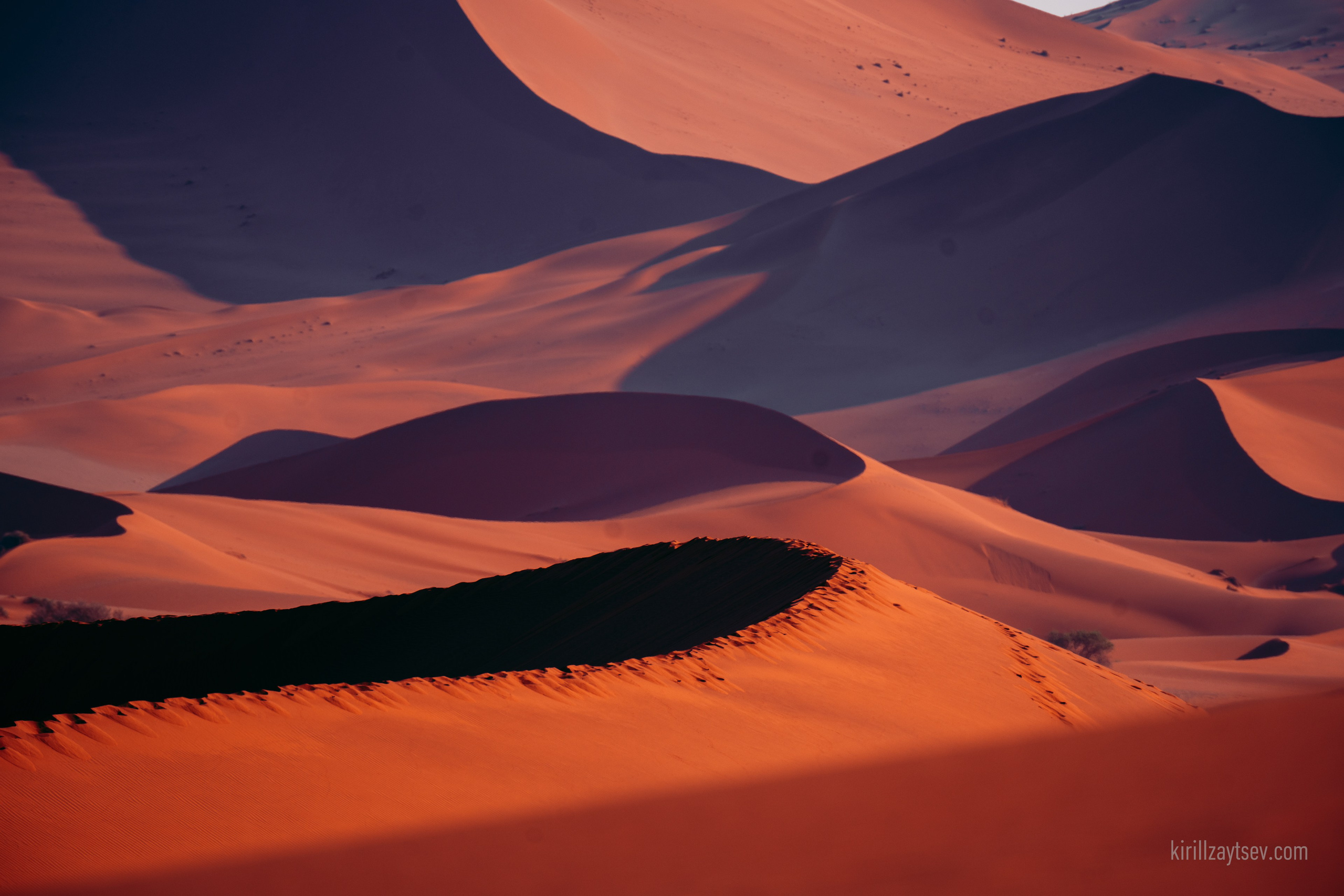 Жизнь. Профессиональный фотограф Кирилл Зайцев