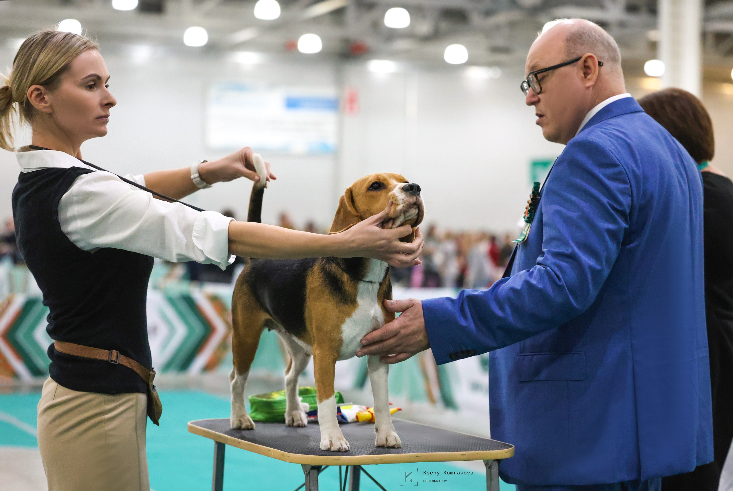 Съемка собак. Анималистика. Репортаж. Индивидуальная съемка