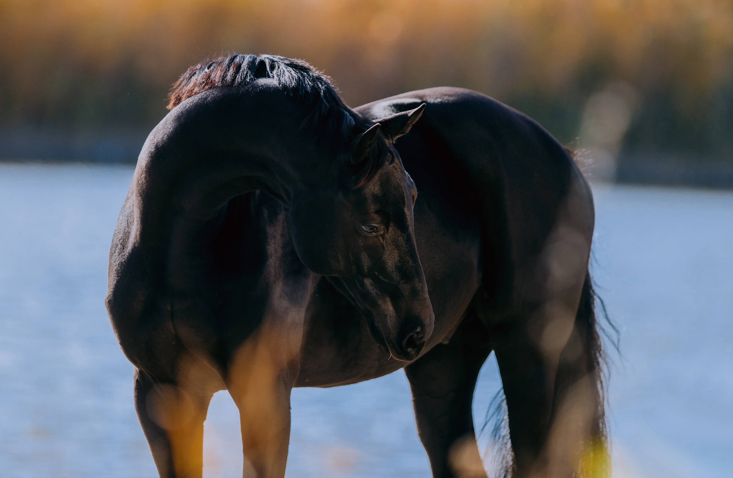На природе. Фотограф-анималист Ксендзова Кристина
