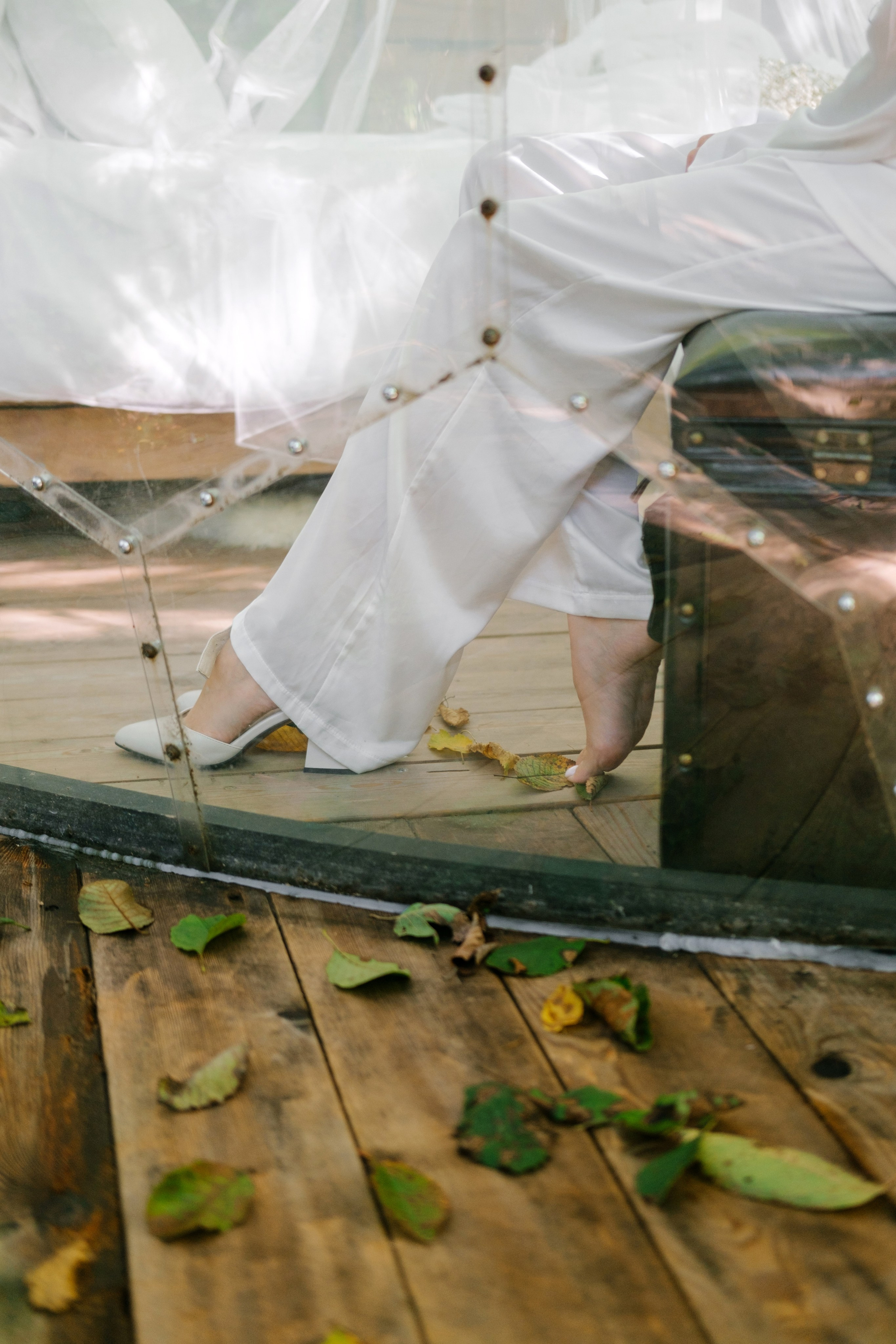 Кот и Дракон. Свадебный Видеограф Фотограф в Сочи