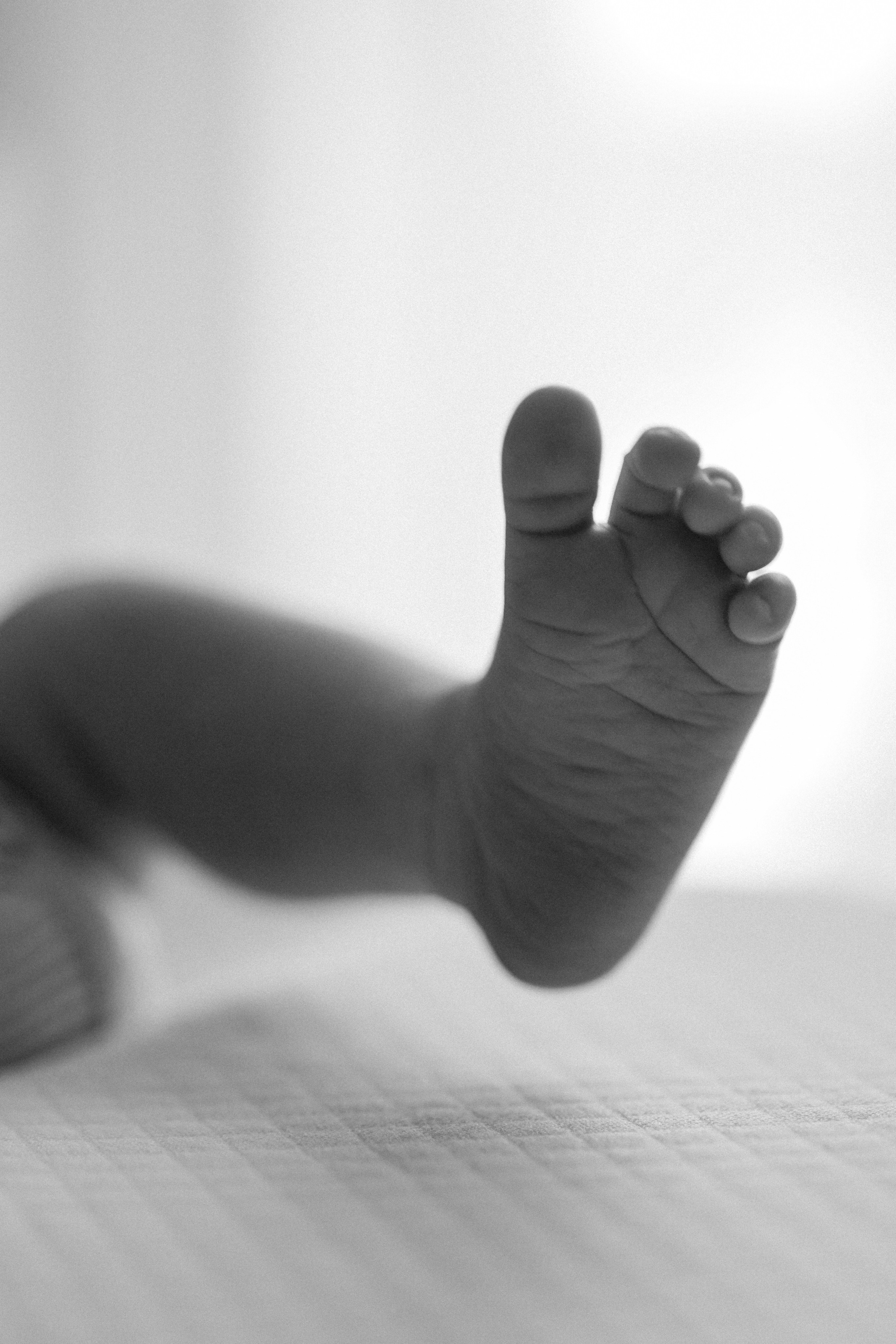 Владимир, Екатерина, Давид и Адам. Портретный фотограф Алёна Счетчикова