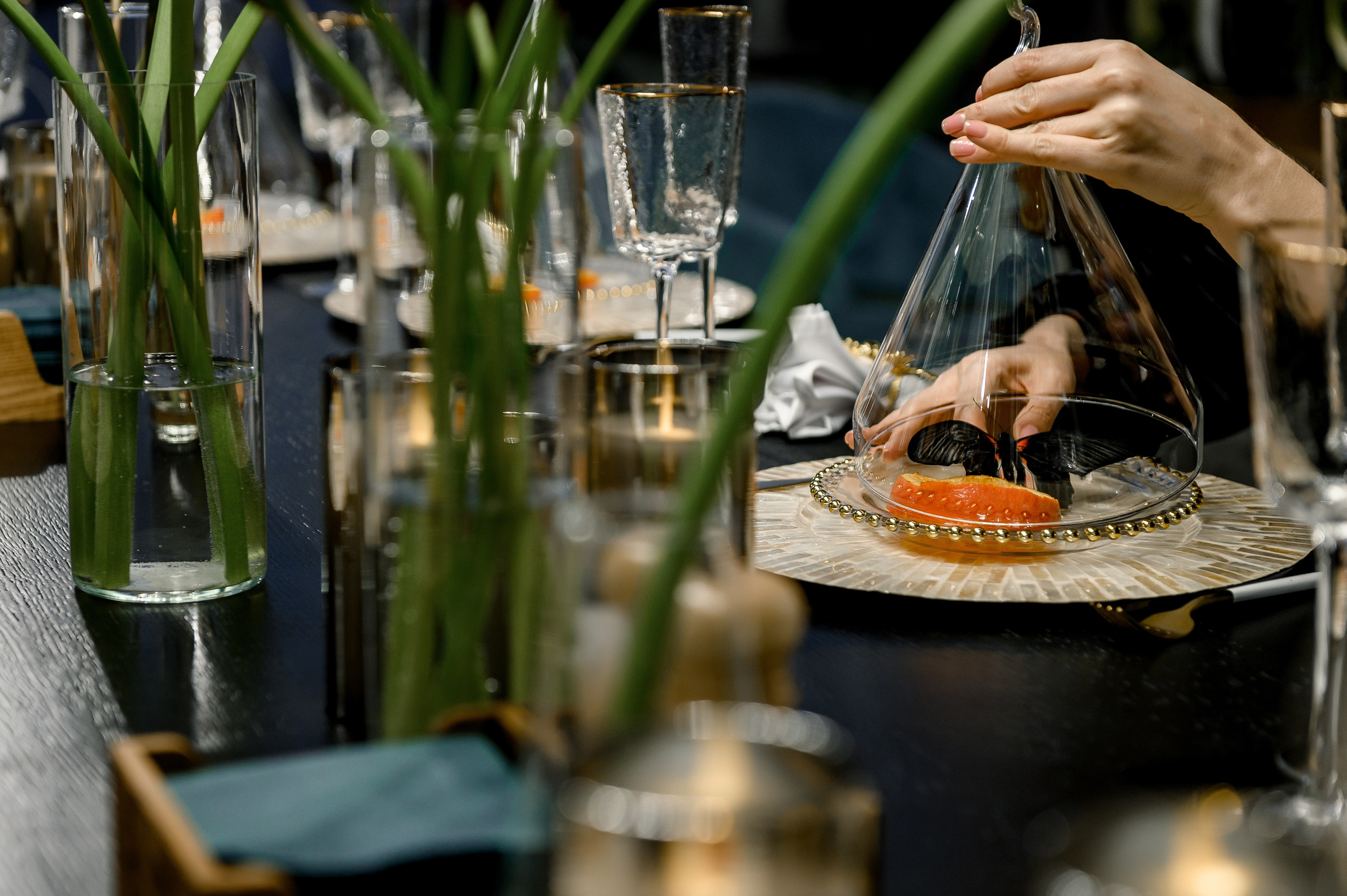 День Рождение Светланы. Свадебный и семейный фотограф в Ставрополе Роман Иванов