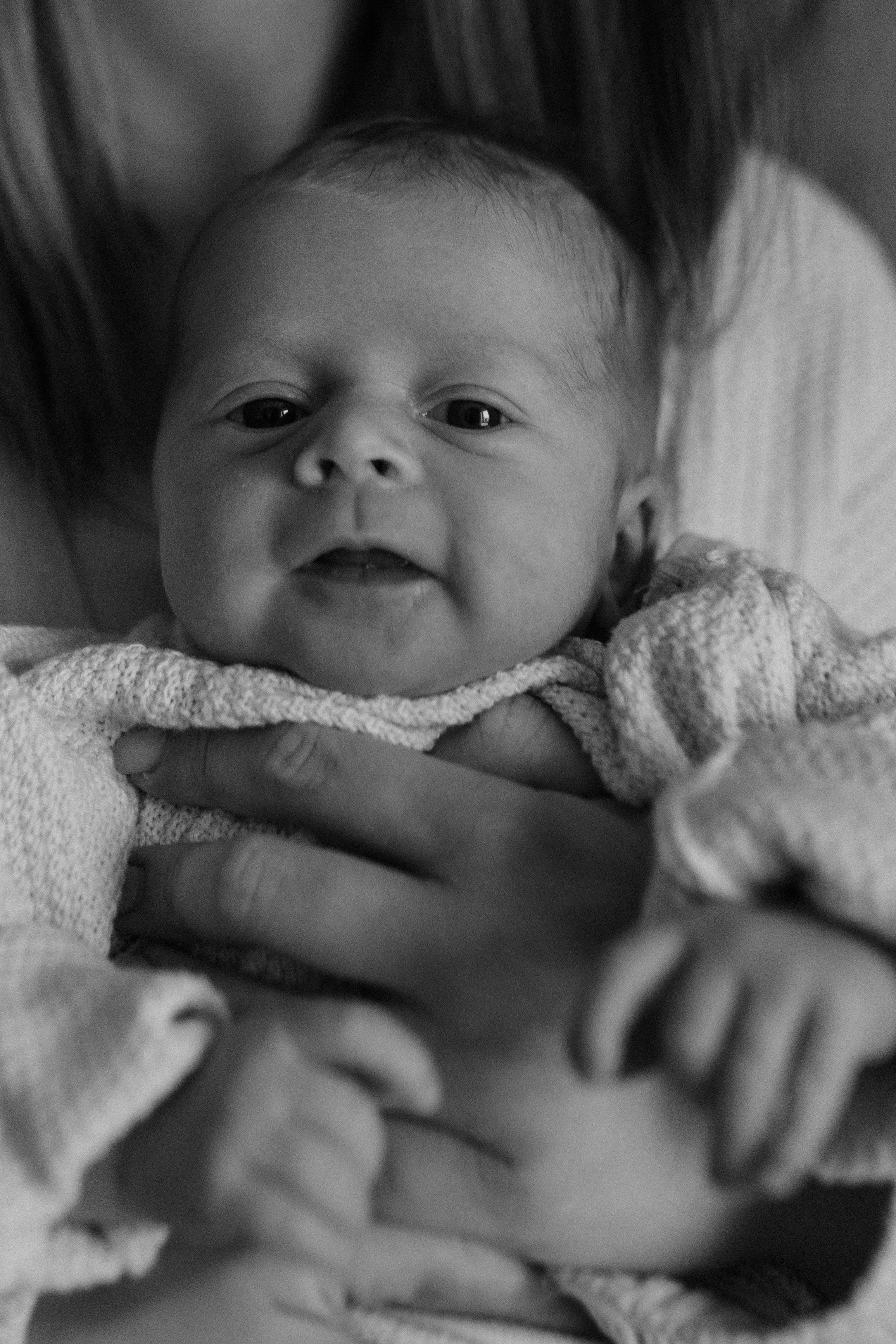 Лена, Игорь, Арина, Агата. Семейный фотограф Москва