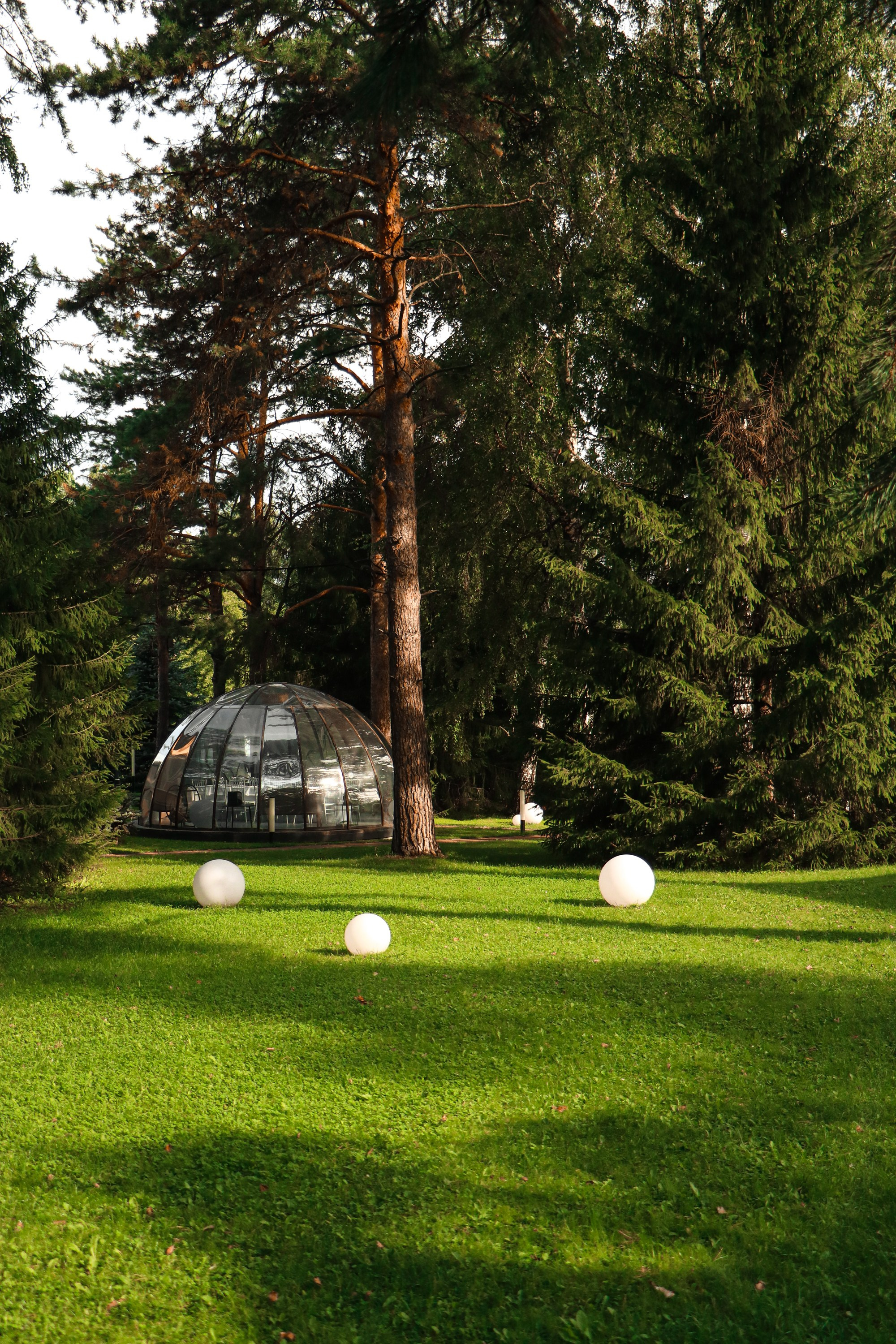 «Сосновый Бор» парк-отель г. Новосибирск. Контент фотограф Дмитрий Борисов