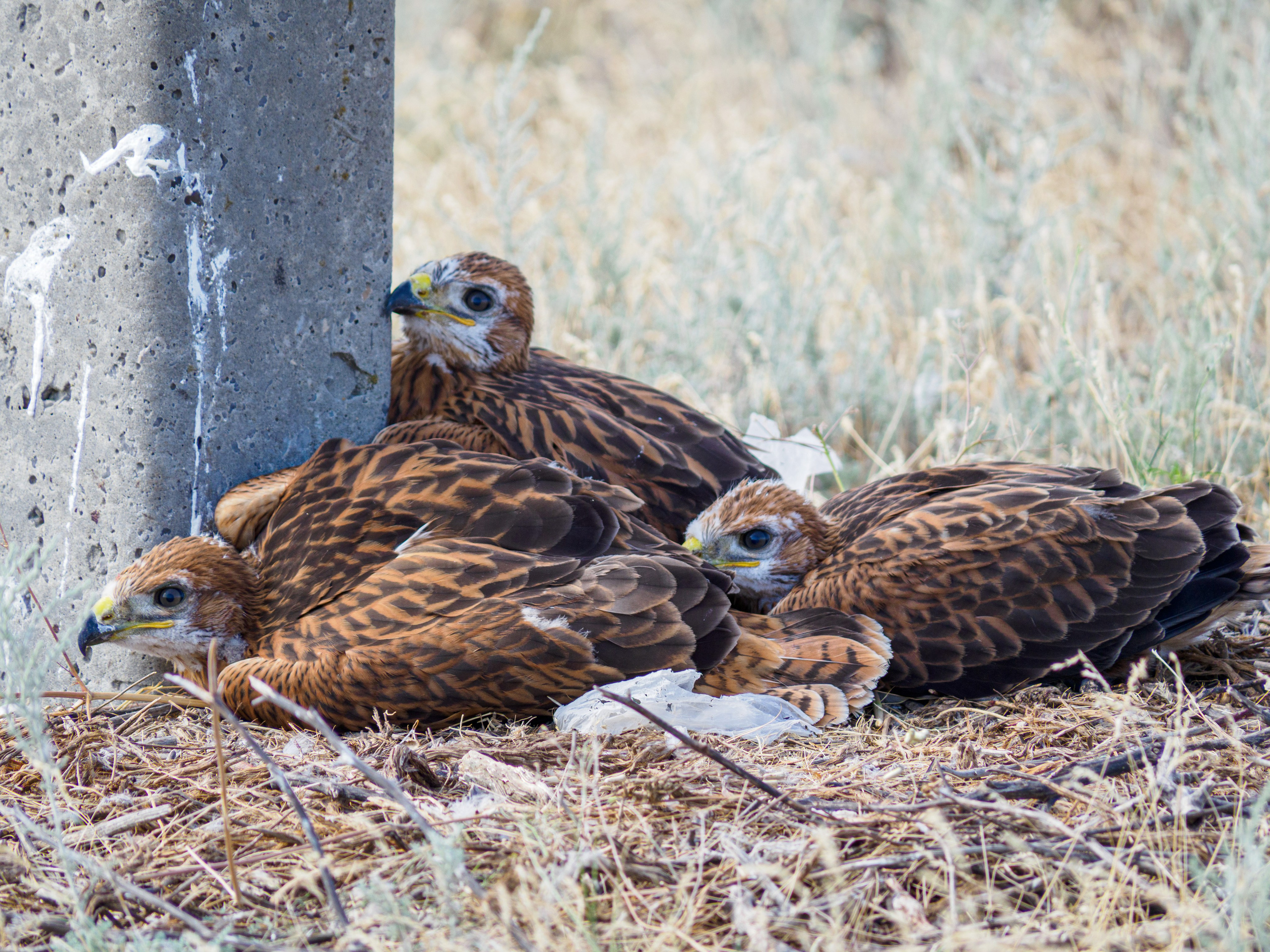Эльтон 2024. Творческие сьемки