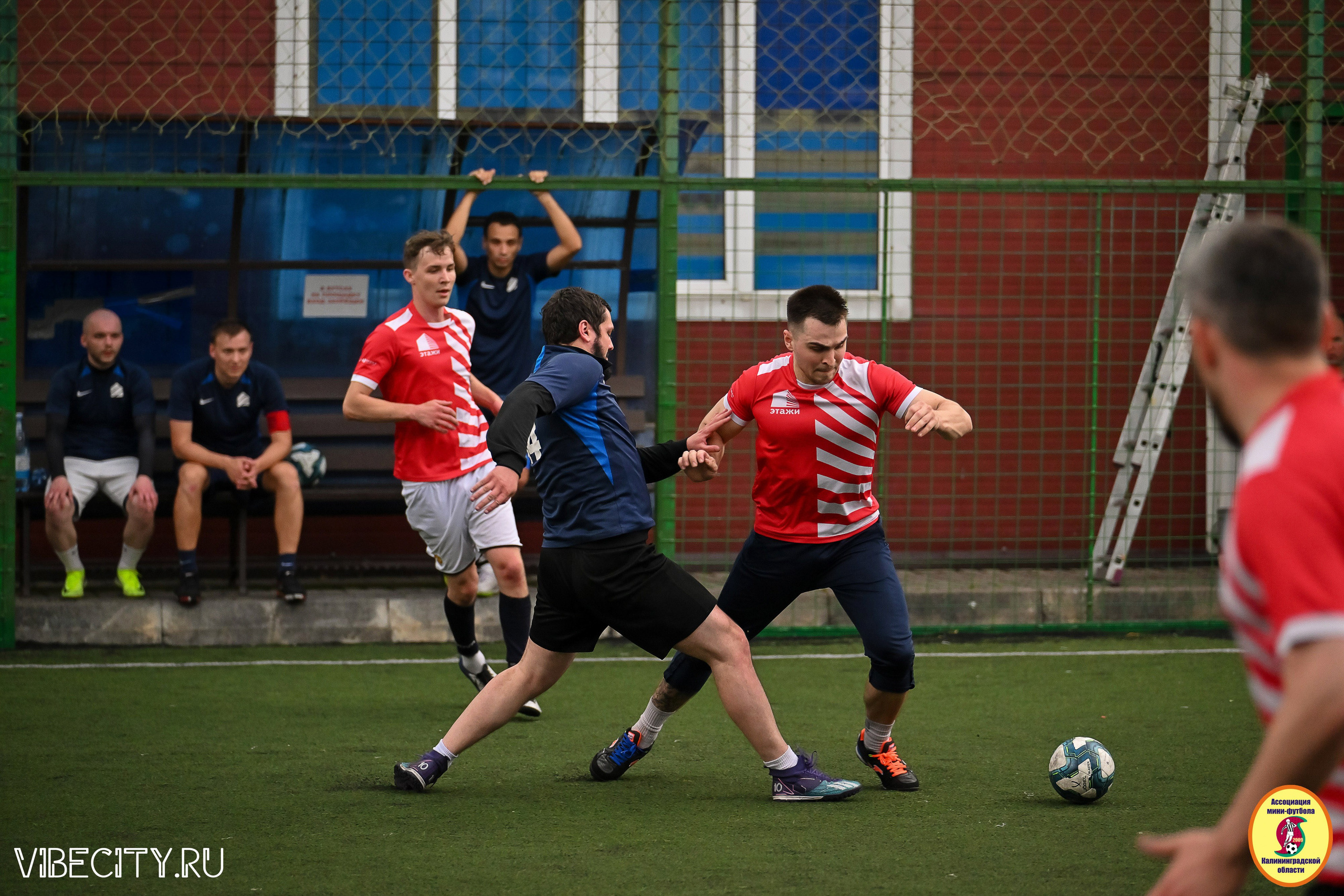 ИГРЫ МИНИ-ФУТБОЛЬНОЙ И КОРПОРАТИВНОЙ ЛИГИ. VIBECITY.RU Вайб Сити Ру Фоторепортажи Фотоотчеты Калининград