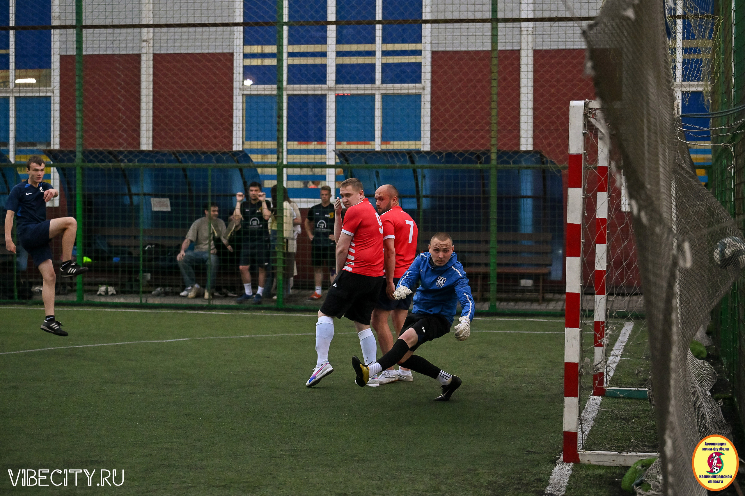 ИГРЫ МИНИ-ФУТБОЛЬНОЙ И КОРПОРАТИВНОЙ ЛИГИ. VIBECITY.RU Вайб Сити Ру Фоторепортажи Фотоотчеты Калининград