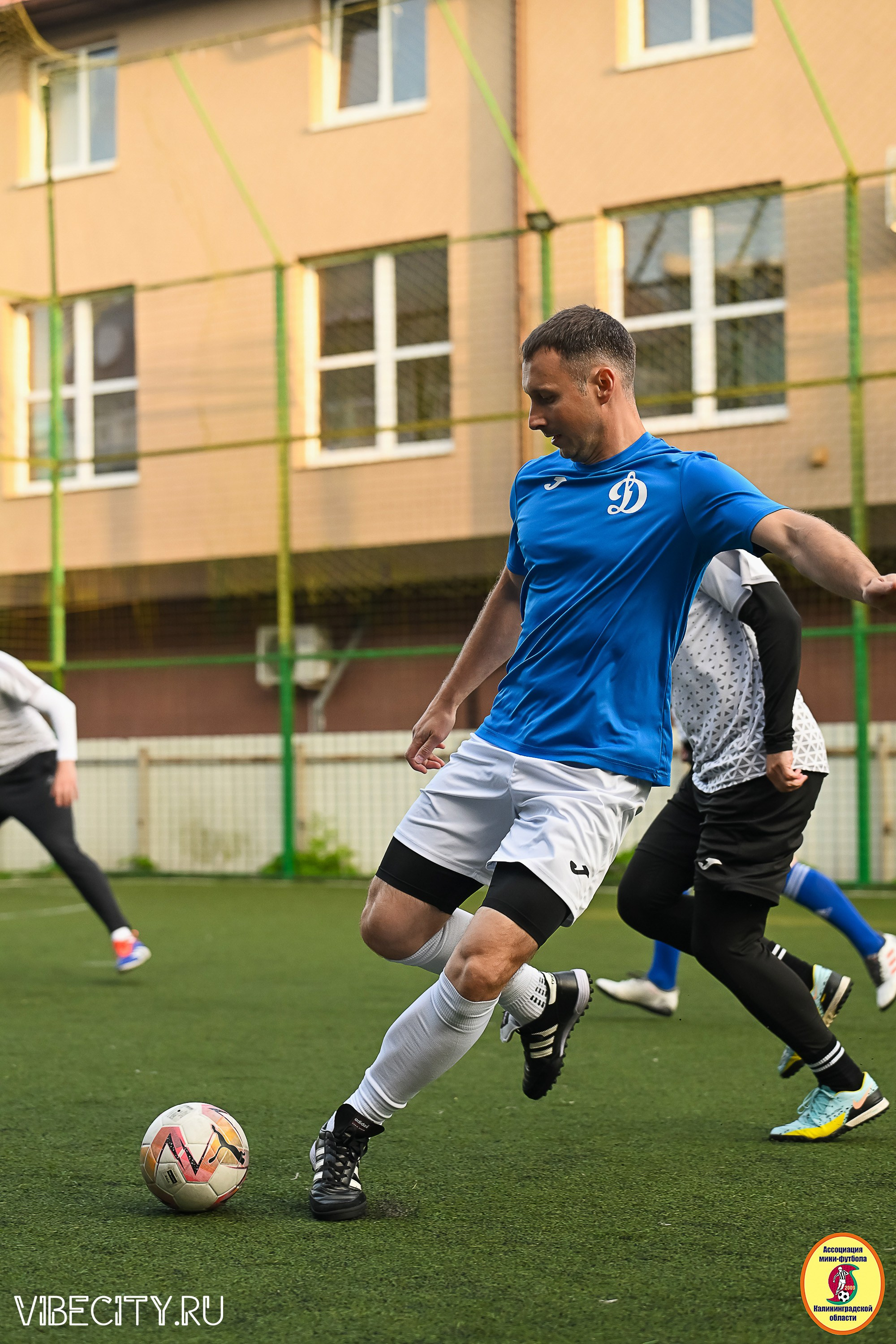 ИГРЫ ПЛЕЙ-ОФФ ПЕРВОГО ДИВИЗИОНА МИНИ-ФУТБОЛЬНОЙ ЛИГИ. VIBECITY.RU Вайб Сити Ру Фоторепортажи Фотоотчеты Калининград