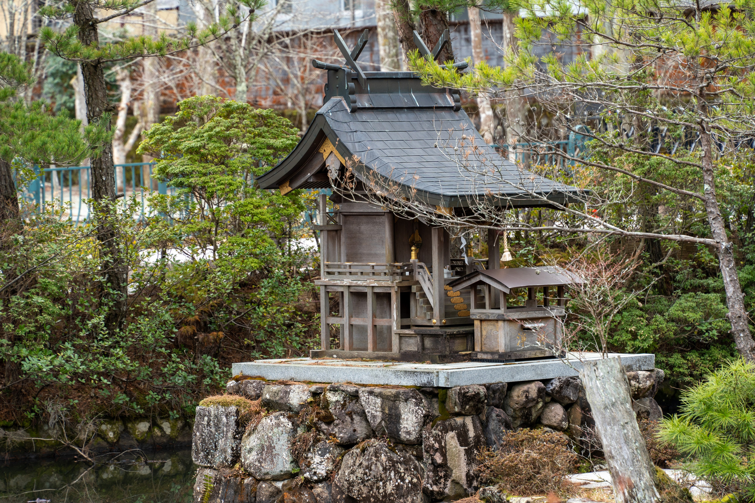 Япония, сакура. Творческие сьемки