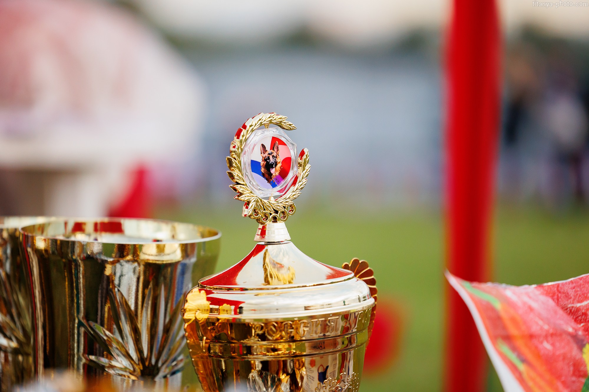 Фотографии с монопородных выставок немецких овчарок. Фотограф собак, фотограф-анималист Аня Титова (Titanya). Москва