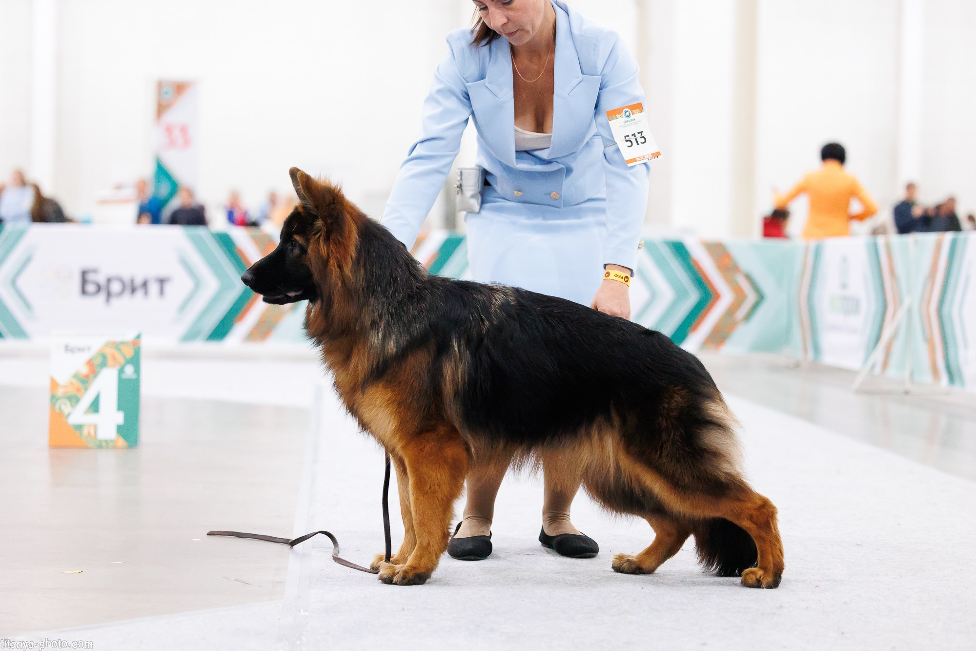 «Евразия-2025»: картинки с выставки. Фотограф собак, фотограф-анималист Аня Титова (Titanya). Москва