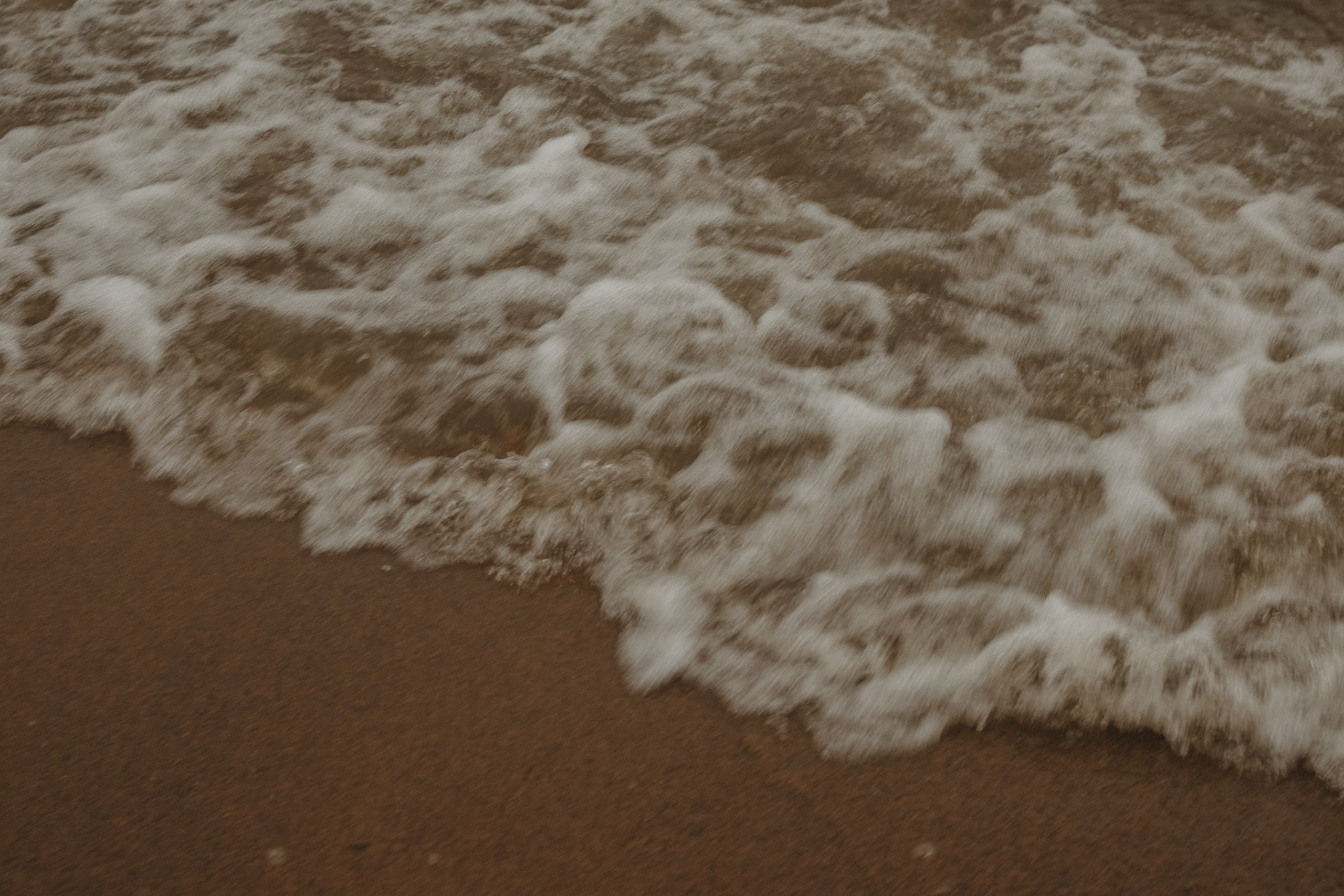 Жу и ее семья. Фотограф — Анималист | Санкт-Петербург