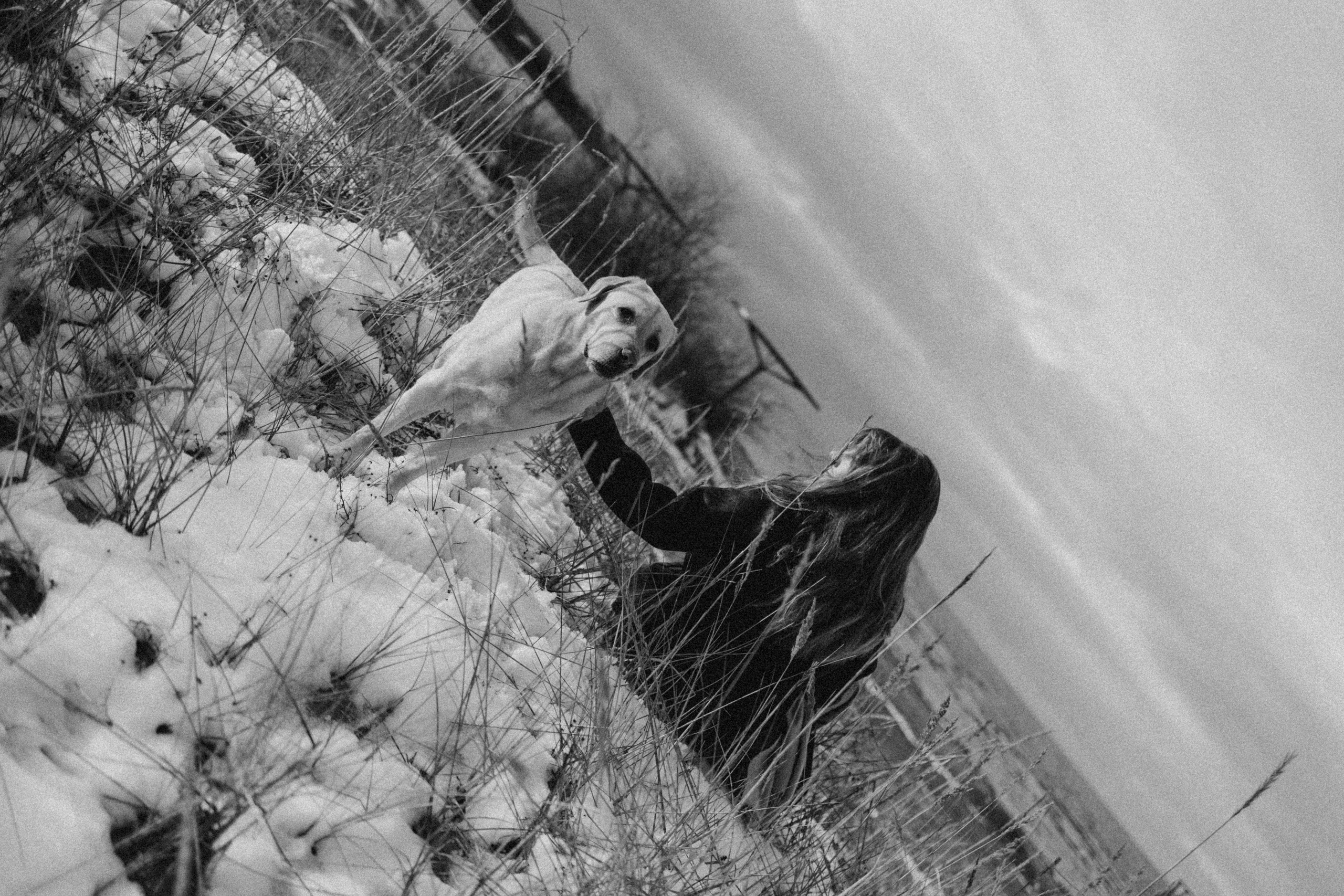 Ирина и Бася. Фотограф — Анималист | Санкт-Петербург