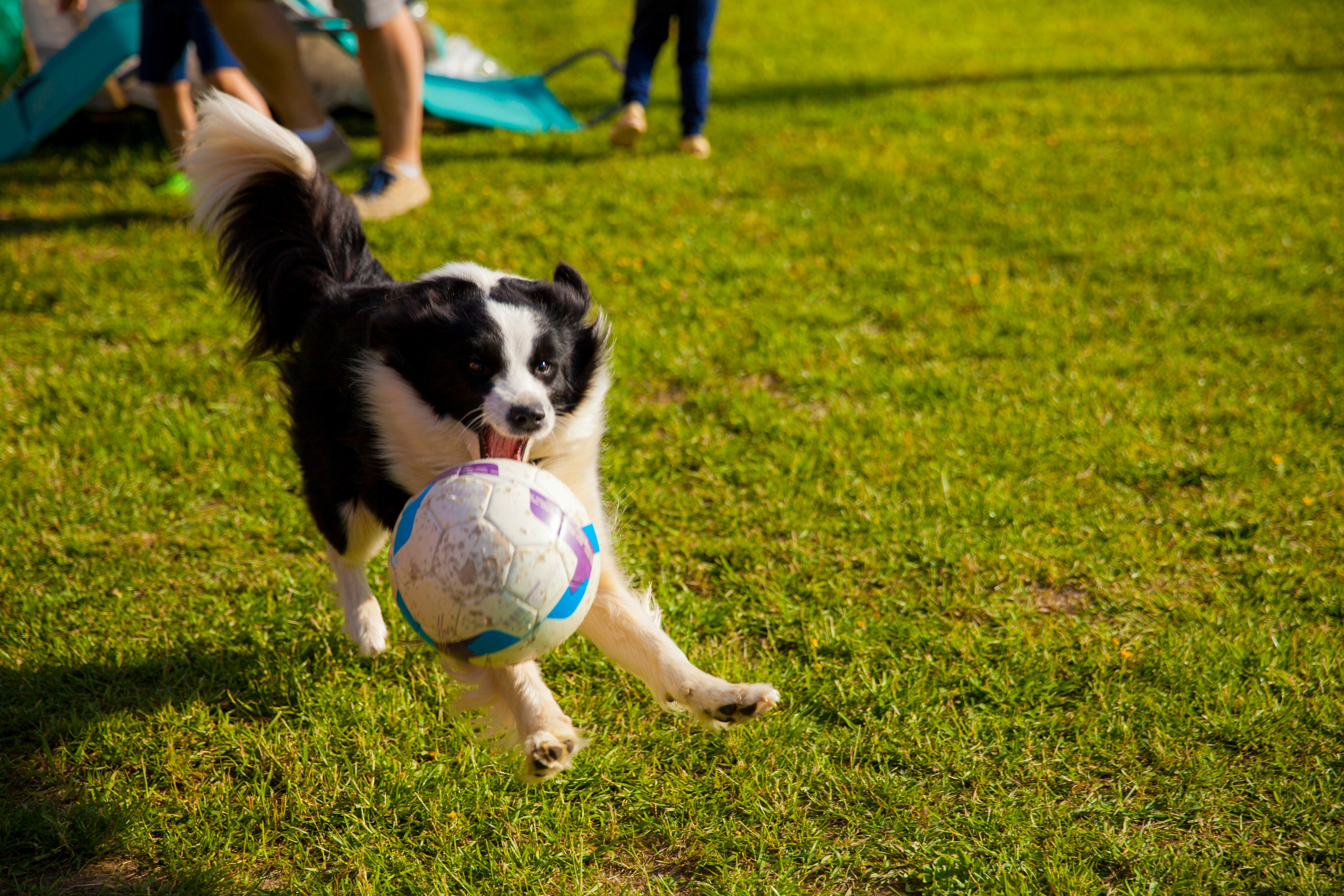 Кокосы. Фотограф Александра Степанова