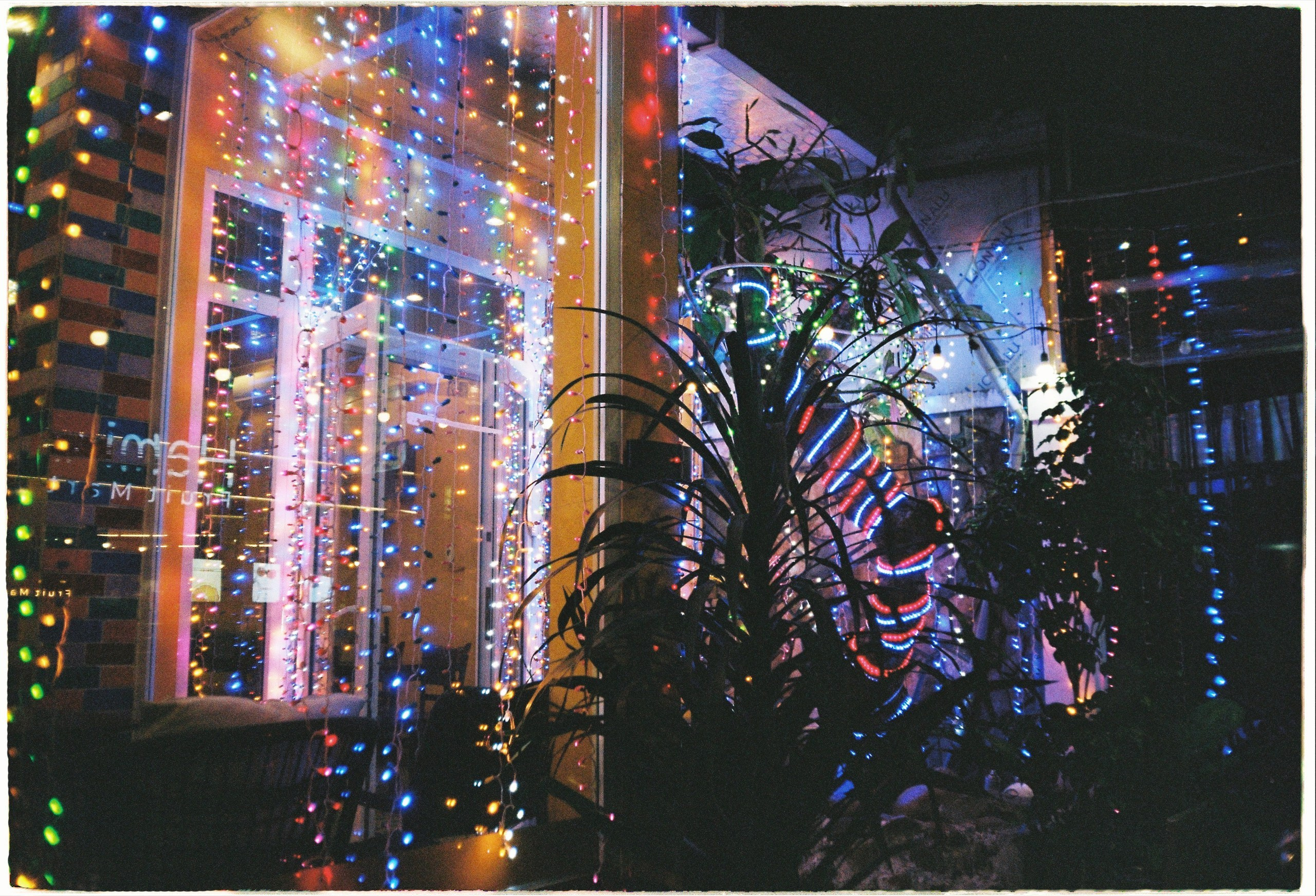 Danang visual diary. Film Photographer in Da Nang, Vietnam — Tanya Parfenteva