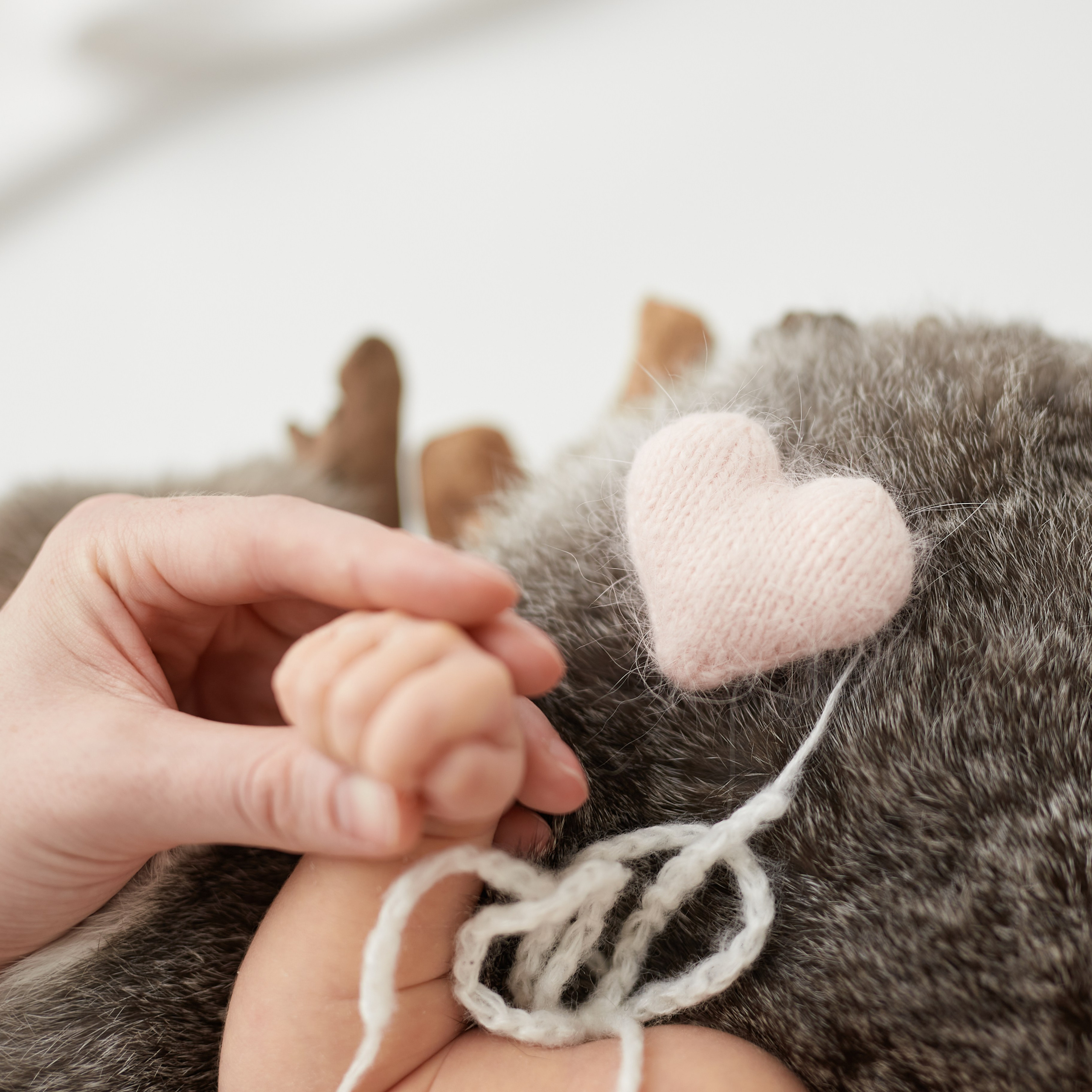 Цены NEWBORN с примерами. Фотограф в Перми Anastasia Aone