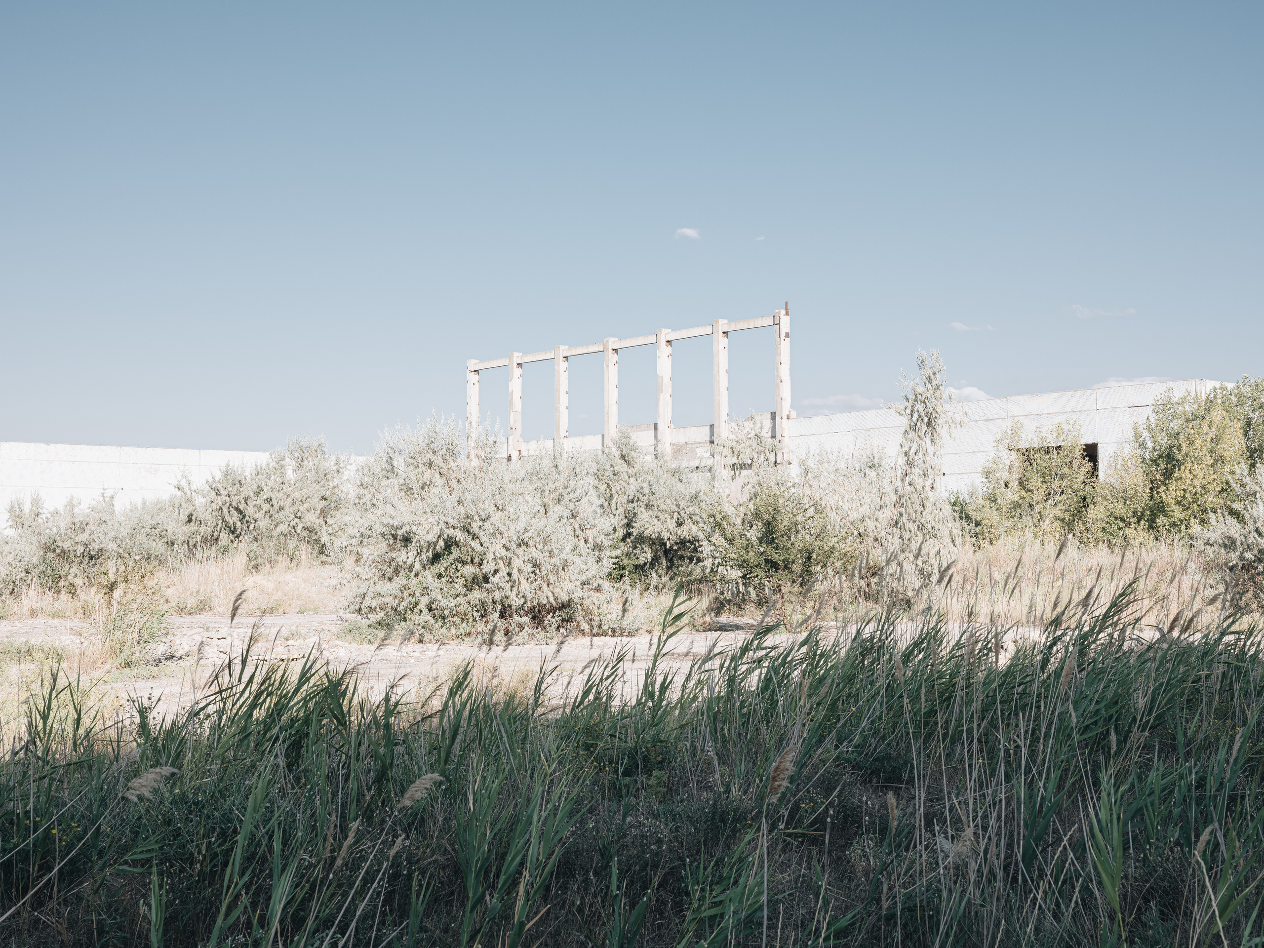 Παρθενώνας. Фотограф Шумков Дмитрий Snm981