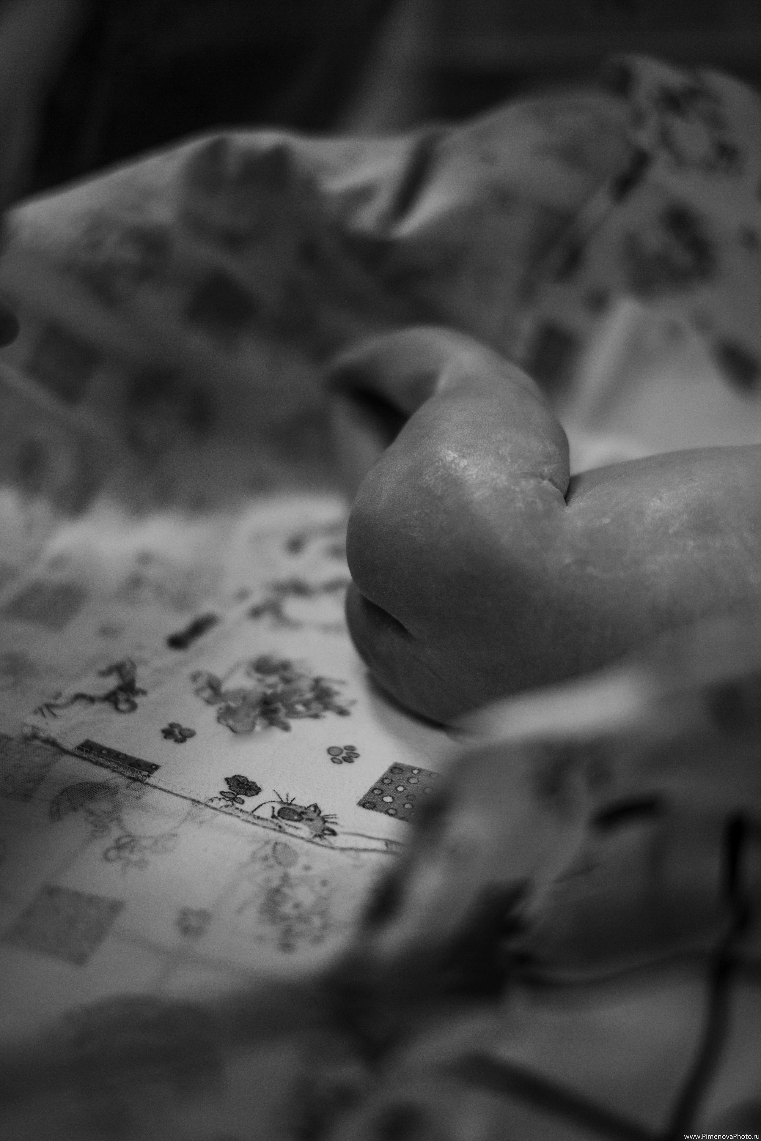 Истории. Семейный и детский фотограф в Петрозаводске