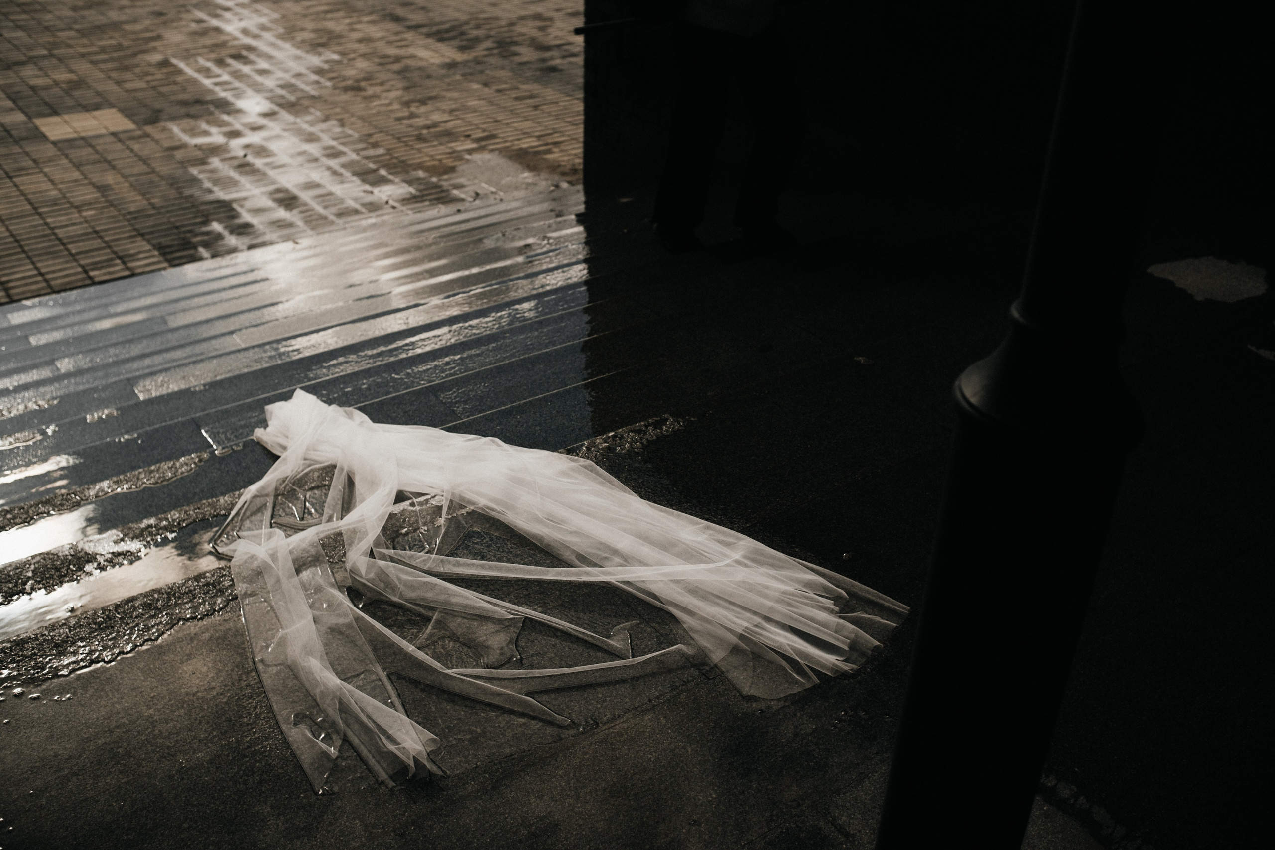 Нск_осень. Свадебный и семейный фотограф Барнаул Рубцовск Бийск Алтайский край