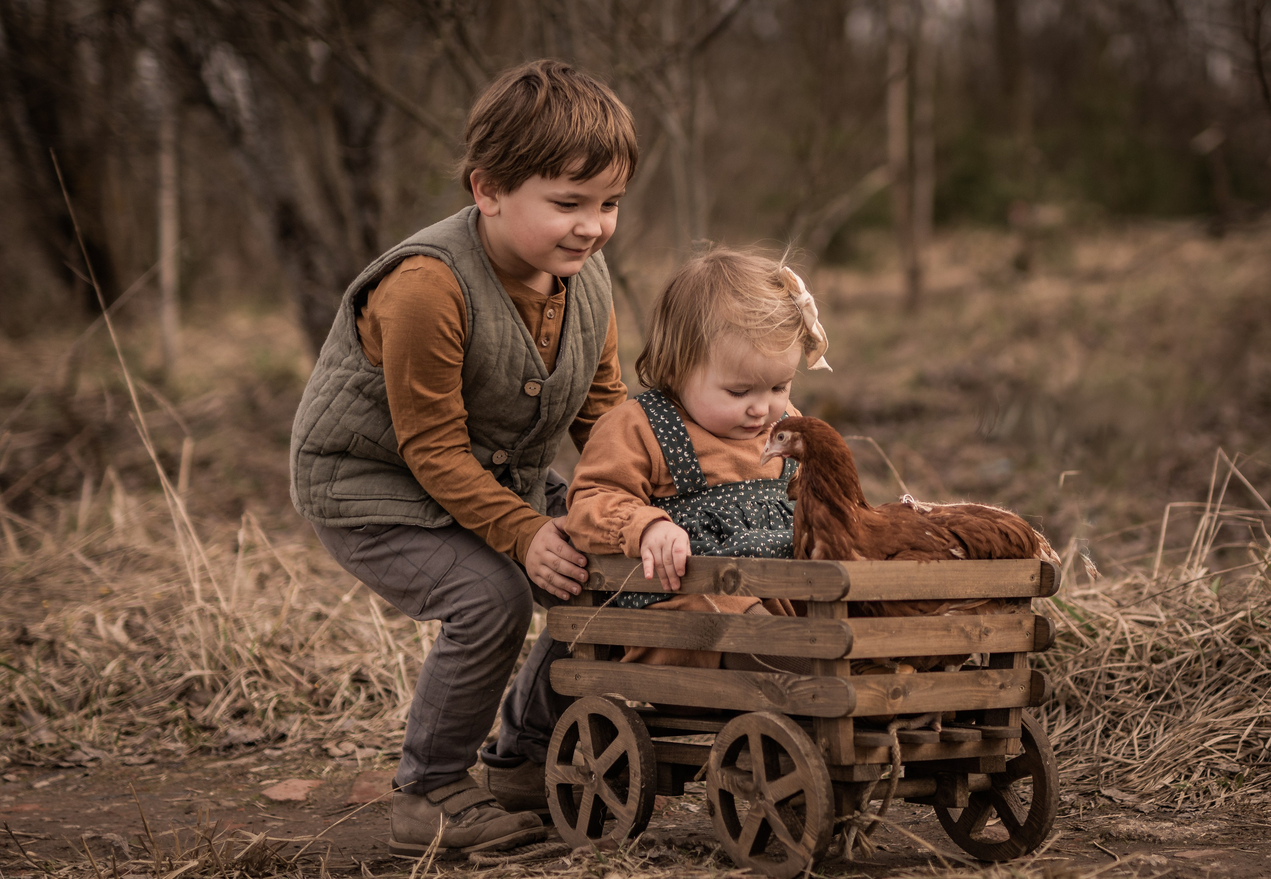 Куриная история. Семейный фотограф Ефремова Виктория