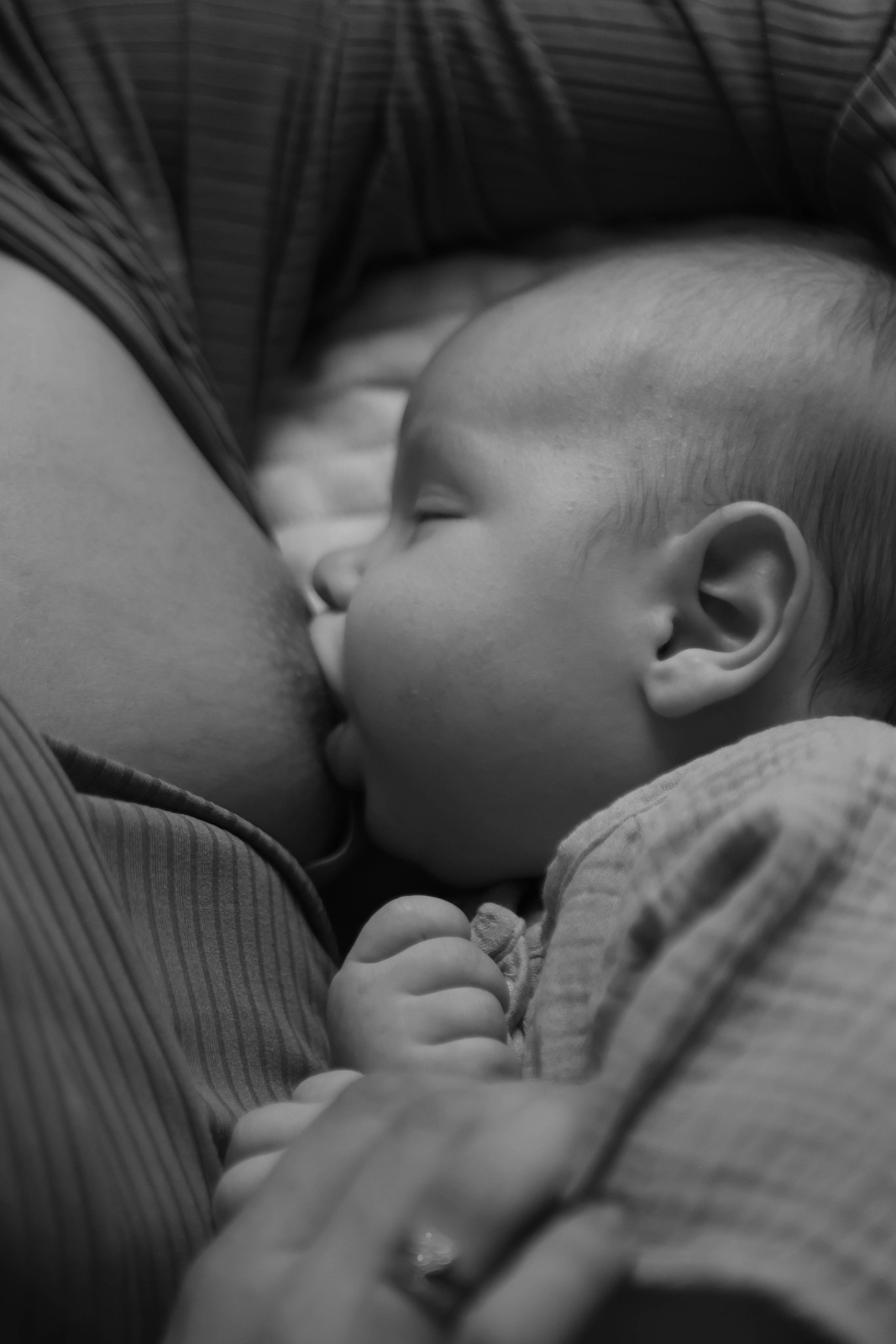 Тимоша. Наталья Косьянова. Ваш фотограф. Москва