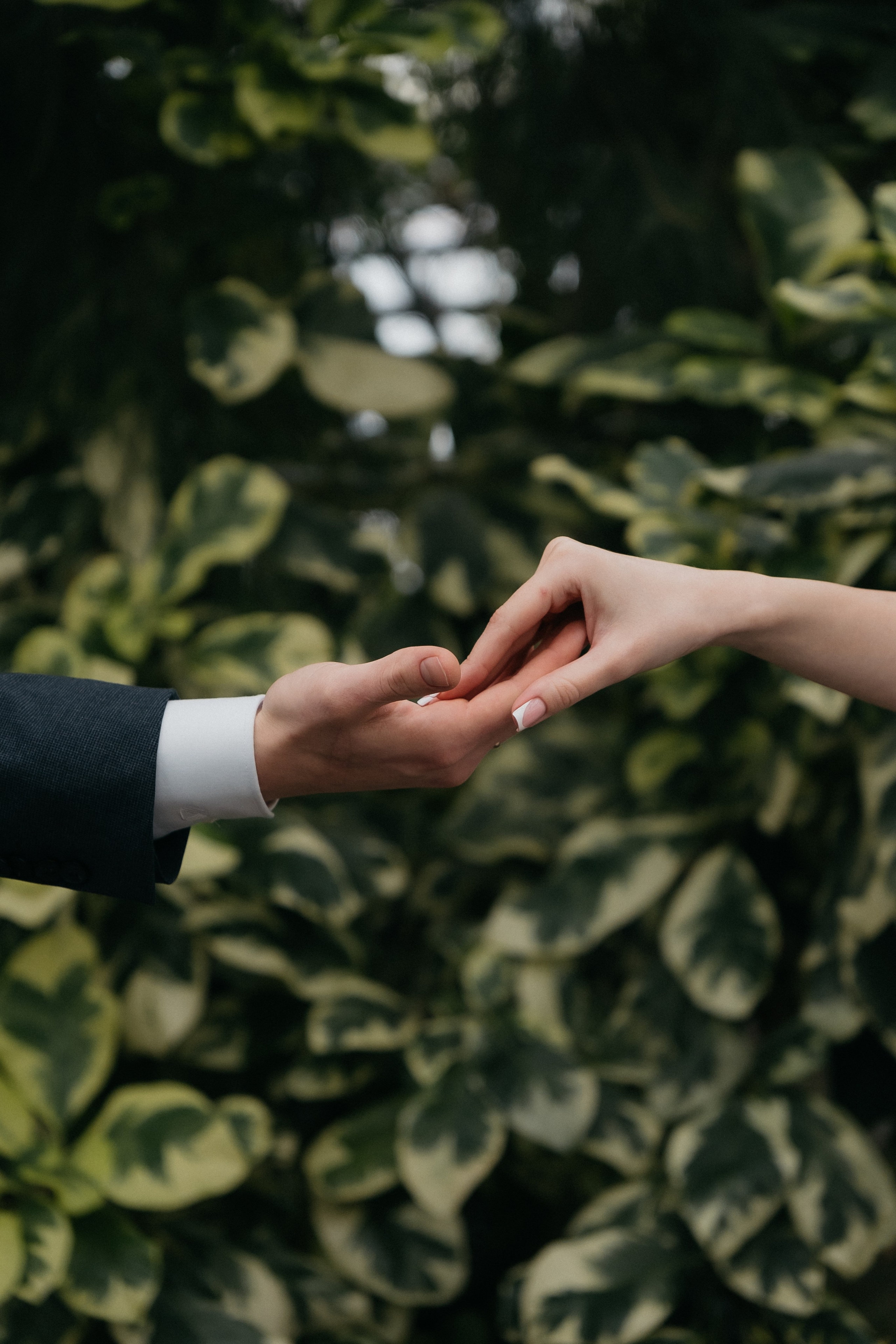 Владислав и Екатерина. Фотограф Новосибирск Вероника Вишневская