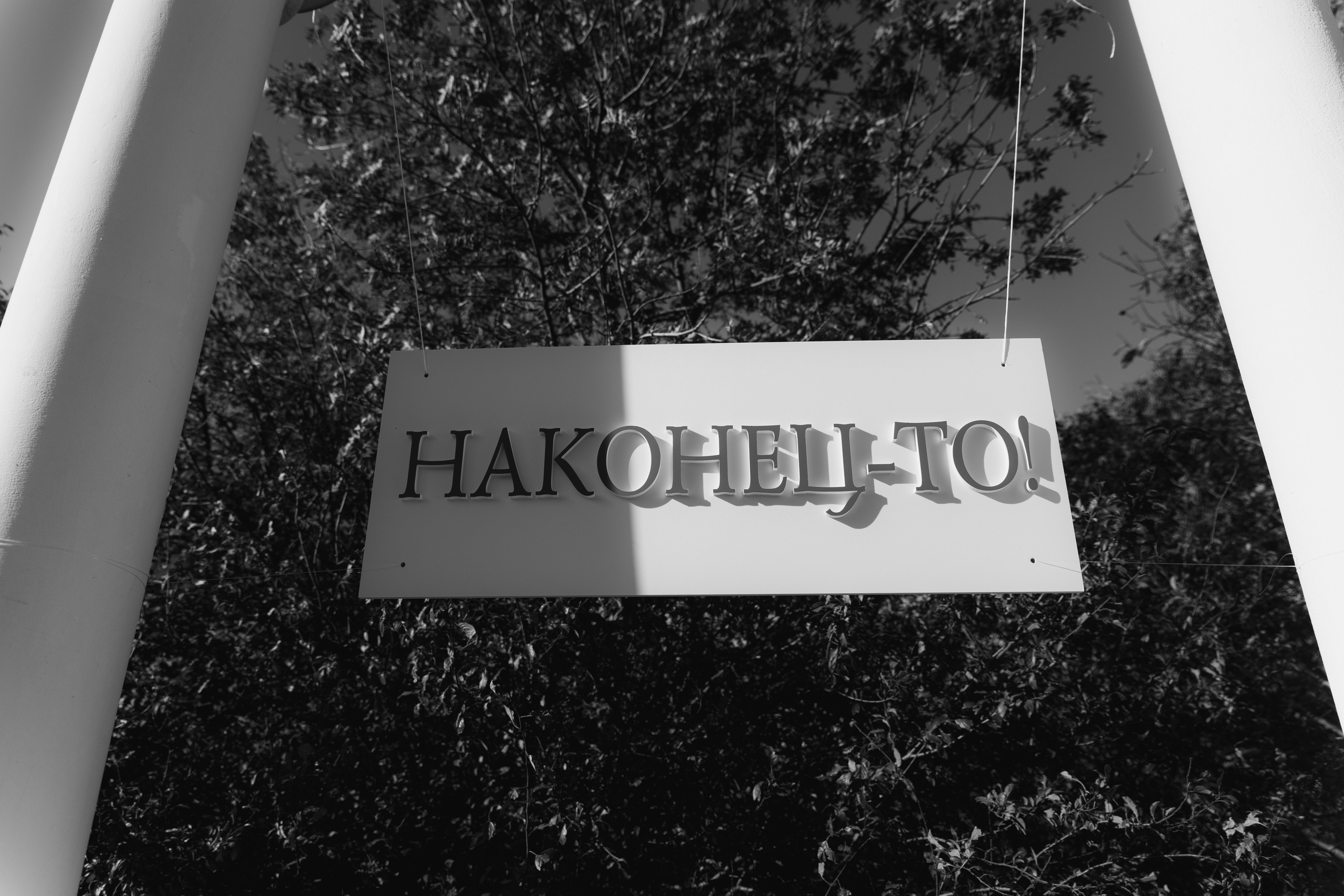 Даня и Оля. Свадебный фотограф в Пятигорске и КМВ Софья Аджикеримова