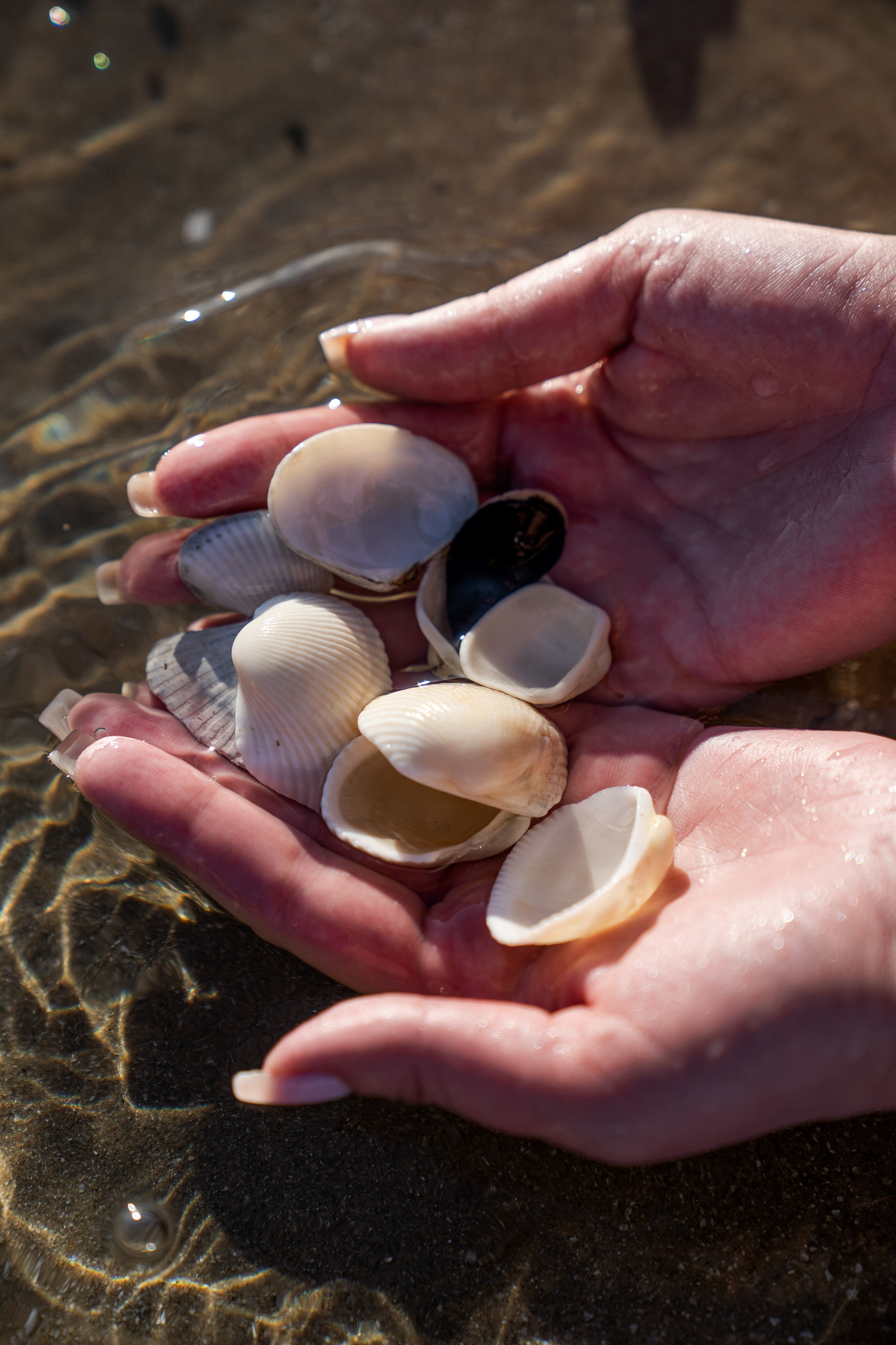 Семейная фотосессия на пляже Муйне | Фотограф для семьи. Фотограф в Муйне и Фанхьете — Фотосессии для туристов, пар и семей