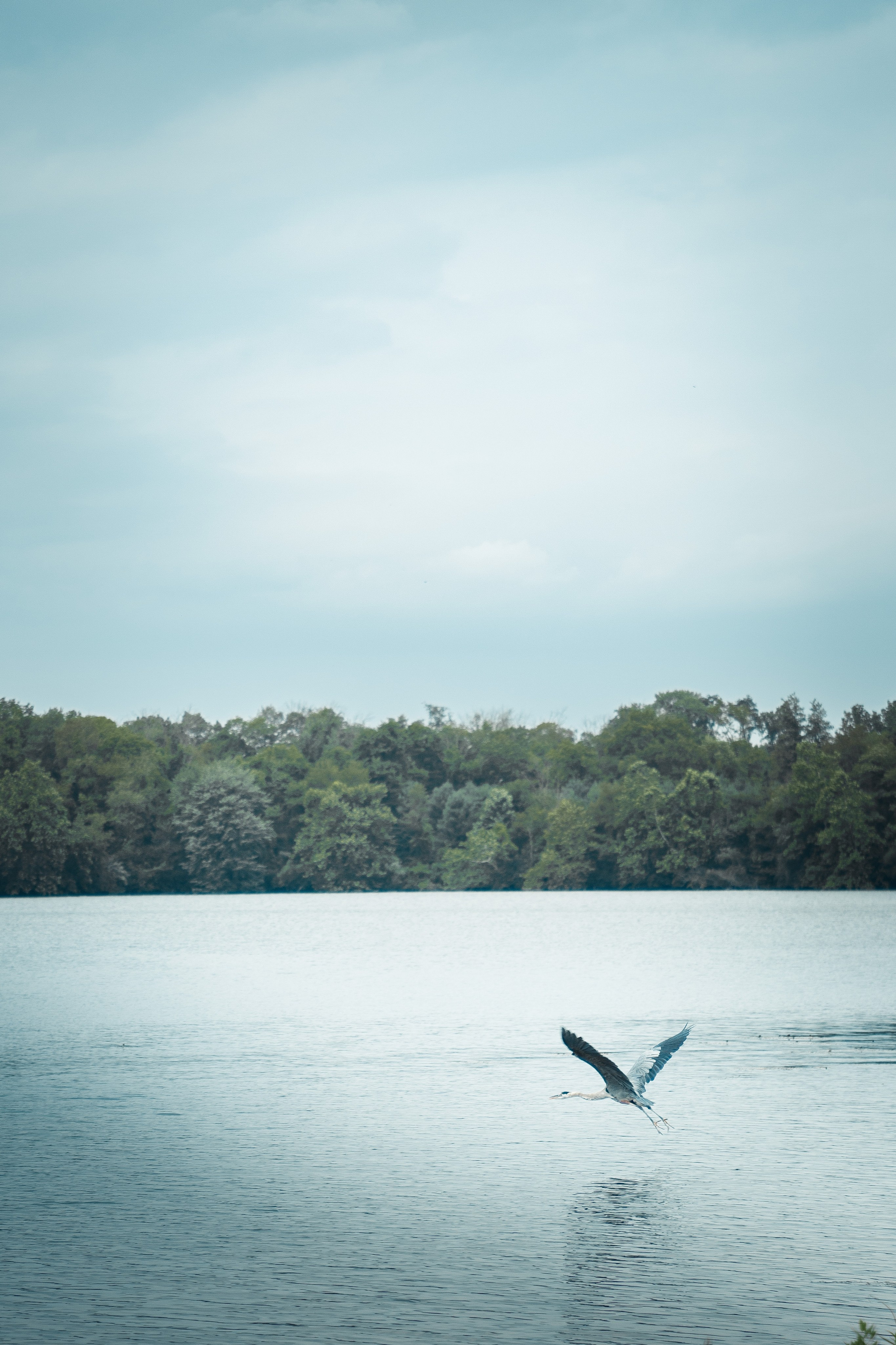 Family. Family photographer in Eastern Pennsylvania, Inna Nairn