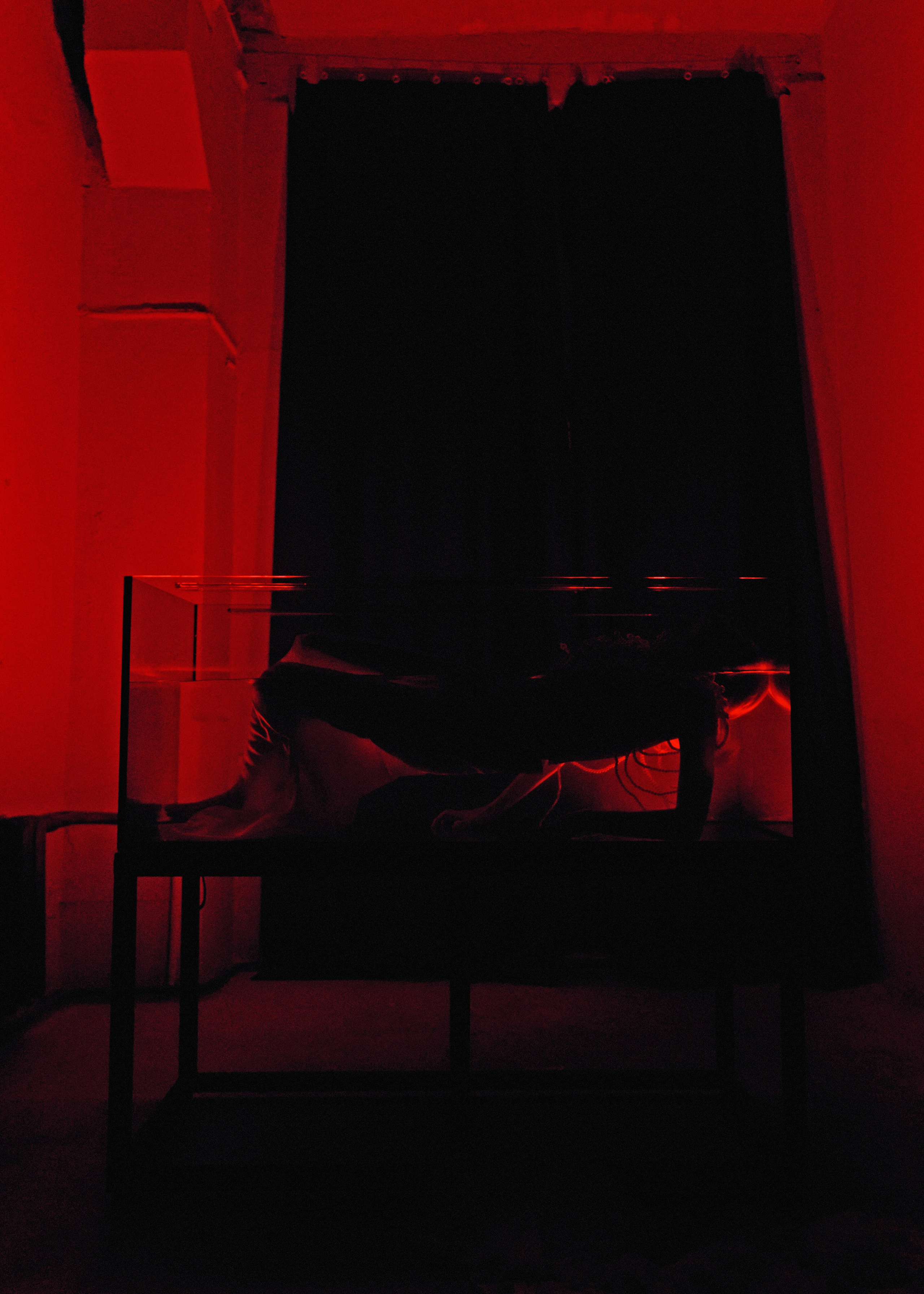 Полина. Фотограф|Катя Рикошетер