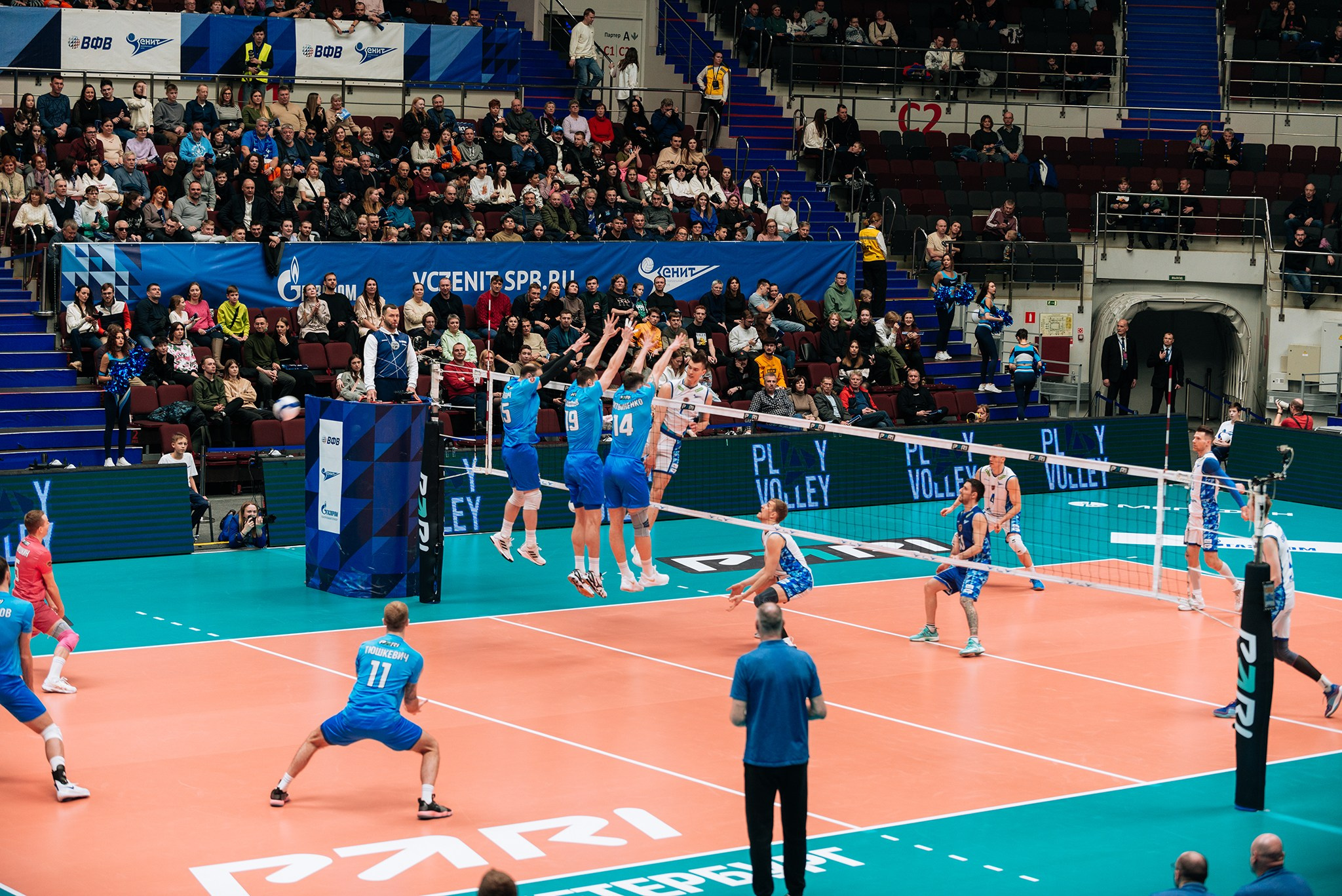 Зенит — Динамо-ЛО. Чемпионат России по волейболу. Февраль 24. Репортажный фотограф в Санкт-Петербурге Анастасия Клёпова