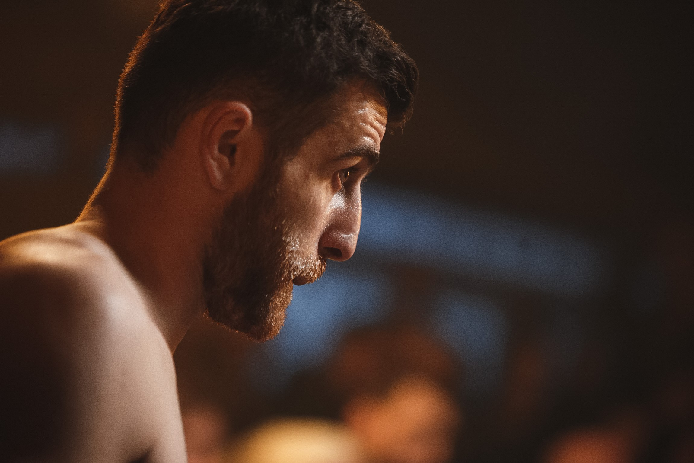 Fights // Social. Bivol images