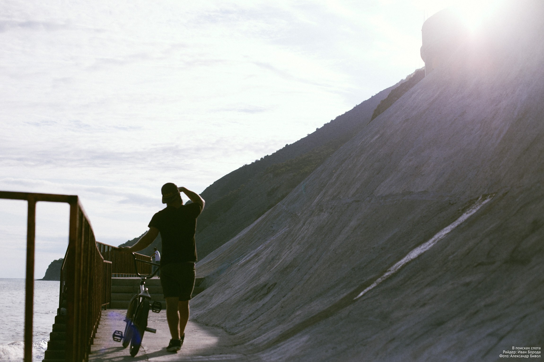 Lifestyle. Bivol images