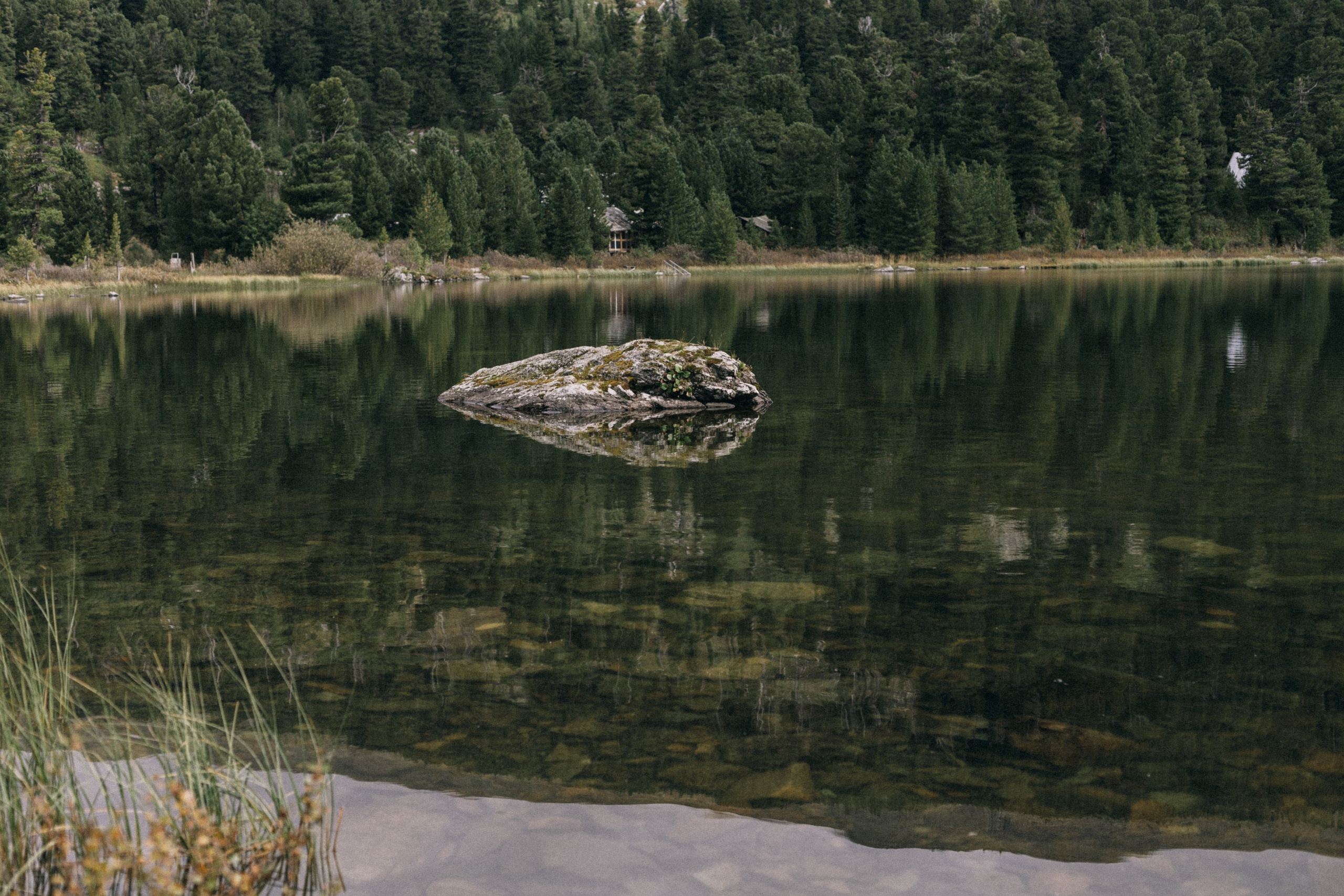 Алтай, природа и эстетика. Александр Чернин. Семейный и событийный фотограф