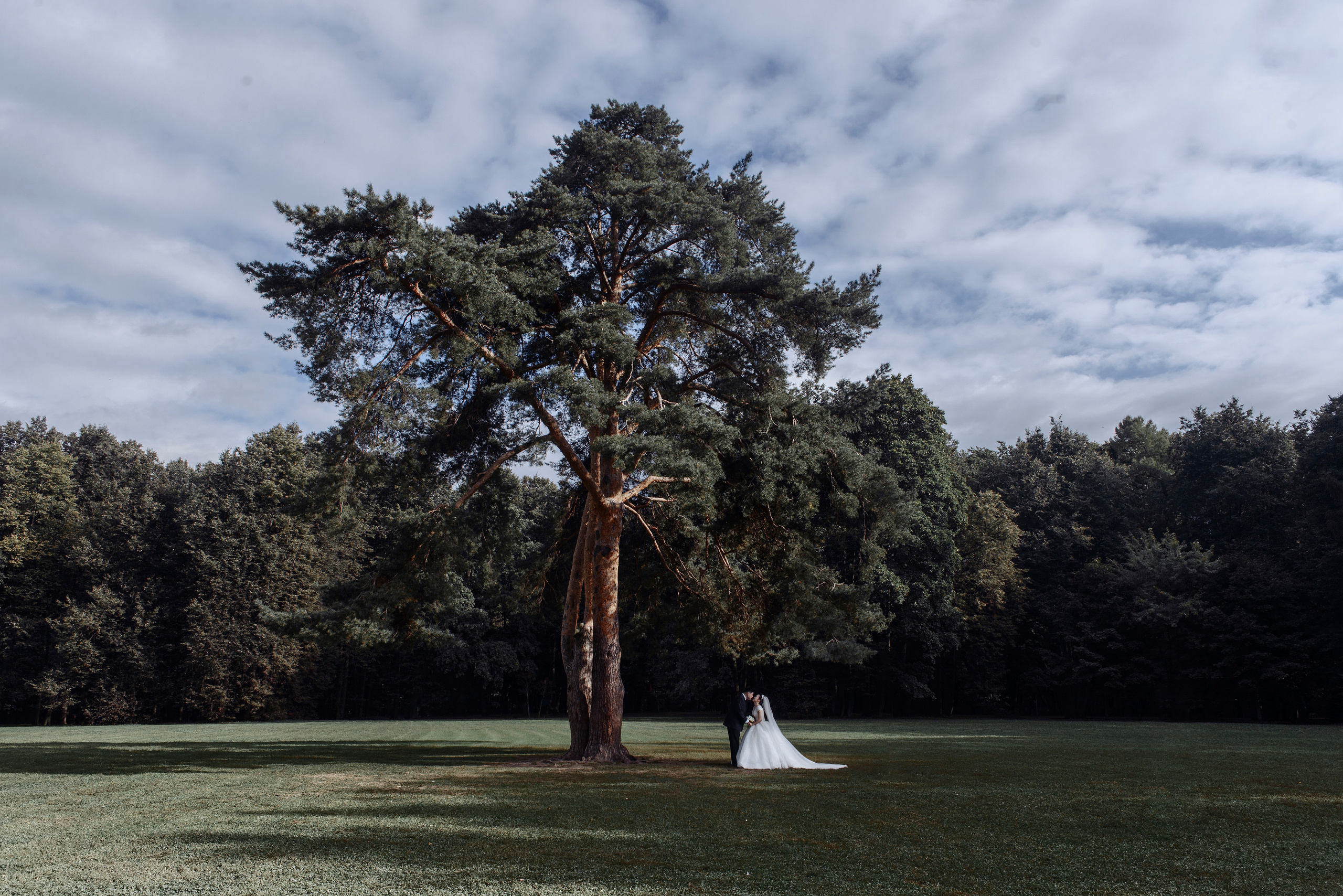 Lena и Daniel (Корейская свадьба). Фотограф и видеограф в Москве и МО — Евгений Лавров