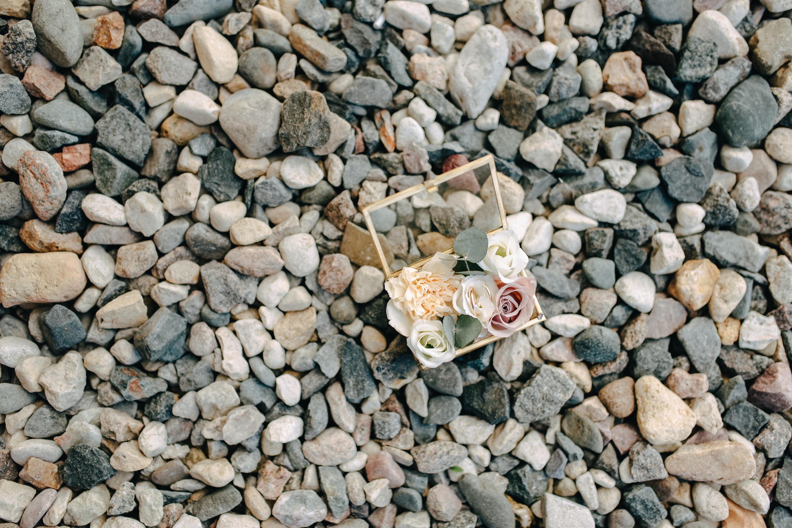 КАМИЛЛА И ЛЕША. Шашкова Вероника / Свадебный и семейный фотограф Москва и Ярославль