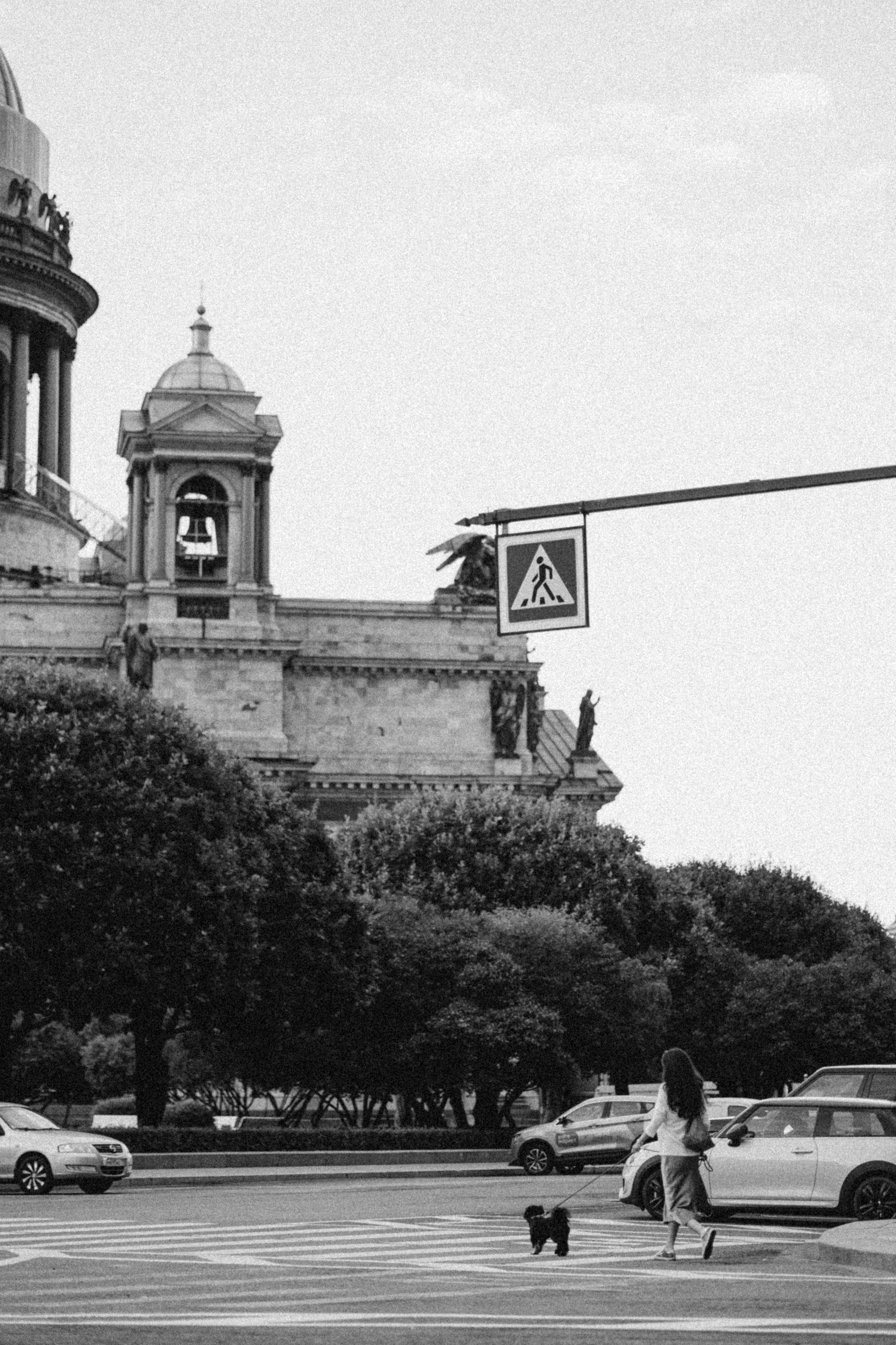 Даша и Борис. Фотограф — Анималист | Санкт-Петербург