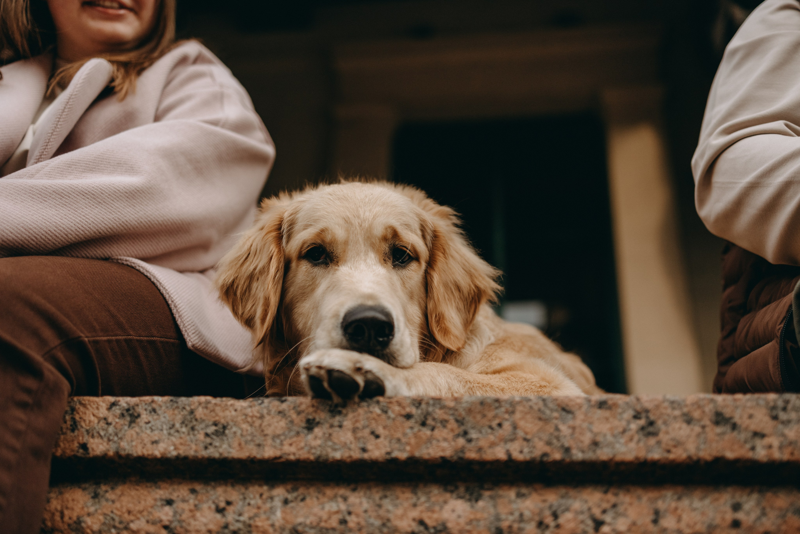 Бетти и ее семья. Фотограф — Анималист | Санкт-Петербург