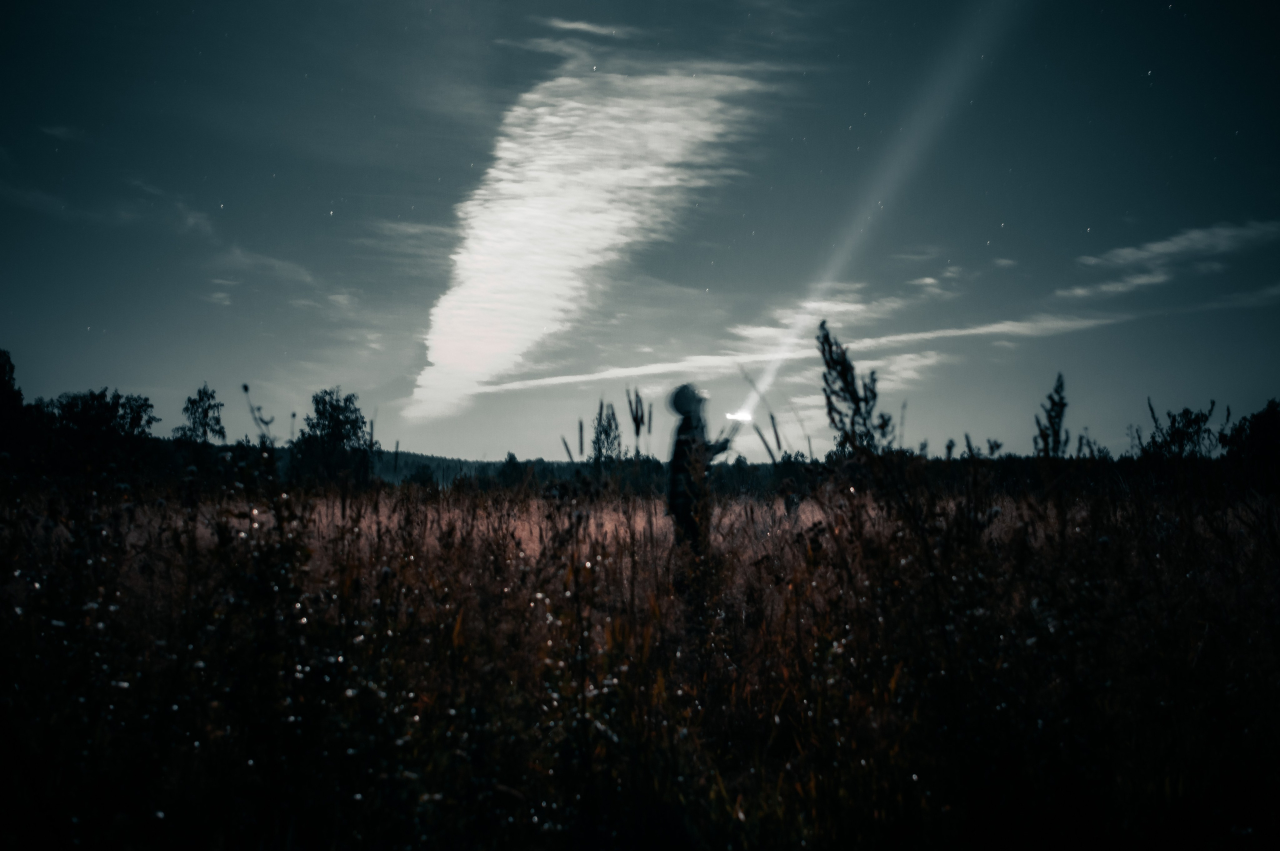 G G L V D M T R | Фотограф в Красноярске