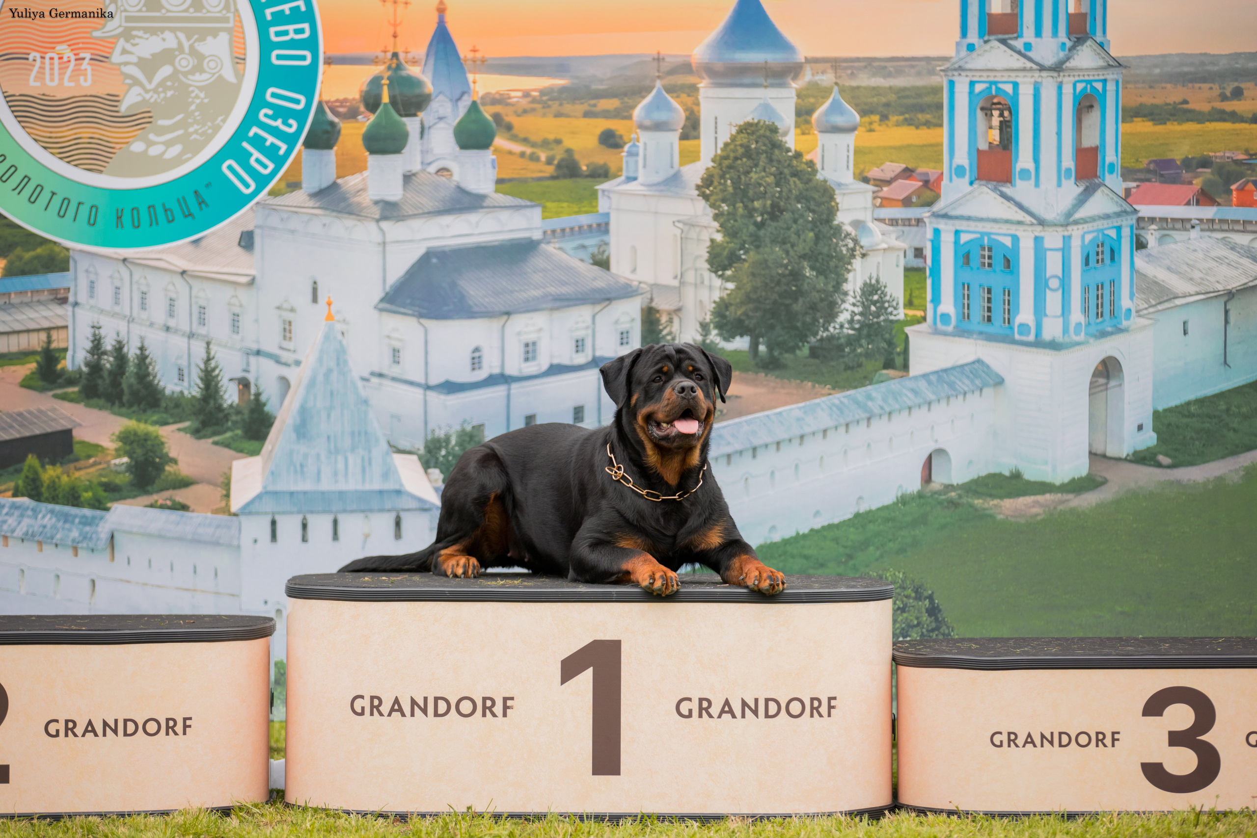 Переславль 9-10.09.2023. Фотограф-анималист Юлия Германика