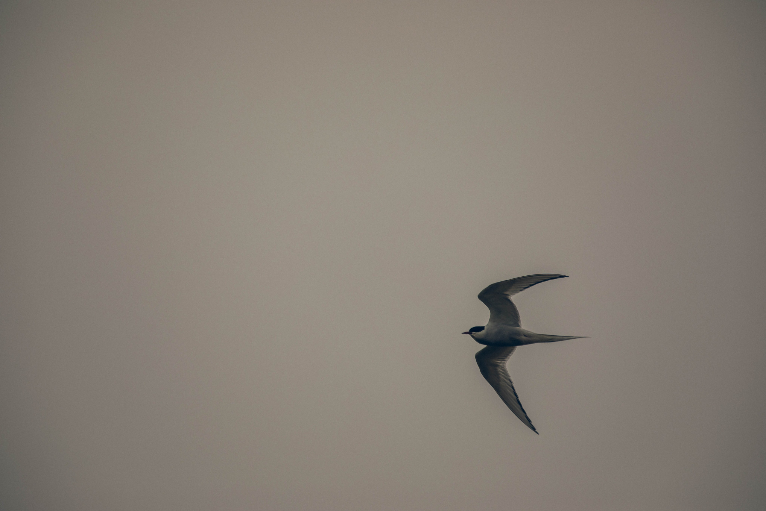 Кольский полуостров. Фотографирую для себя, своей семьи и друзей!