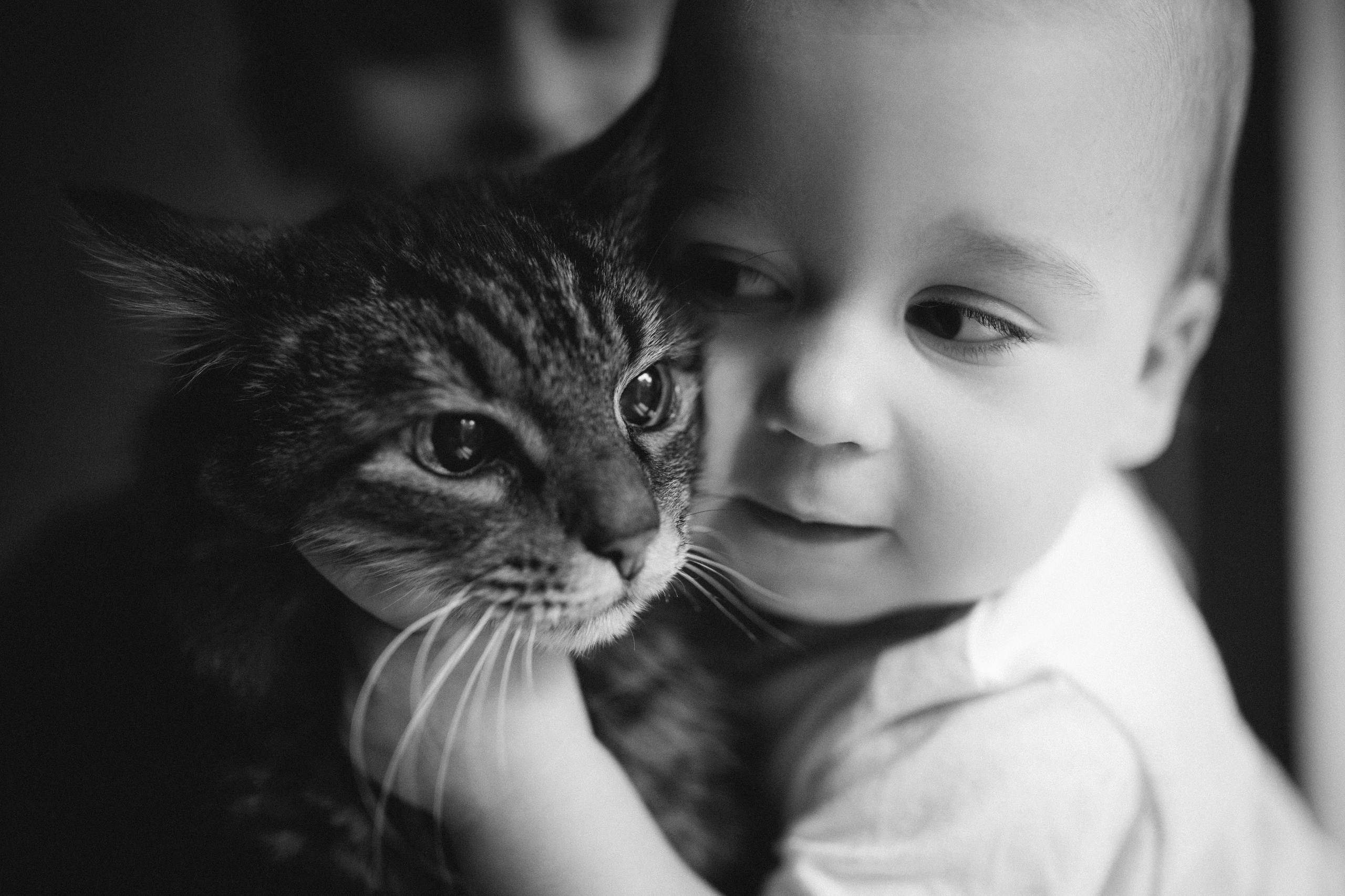 Родные и близкие. Beloglazova.ru