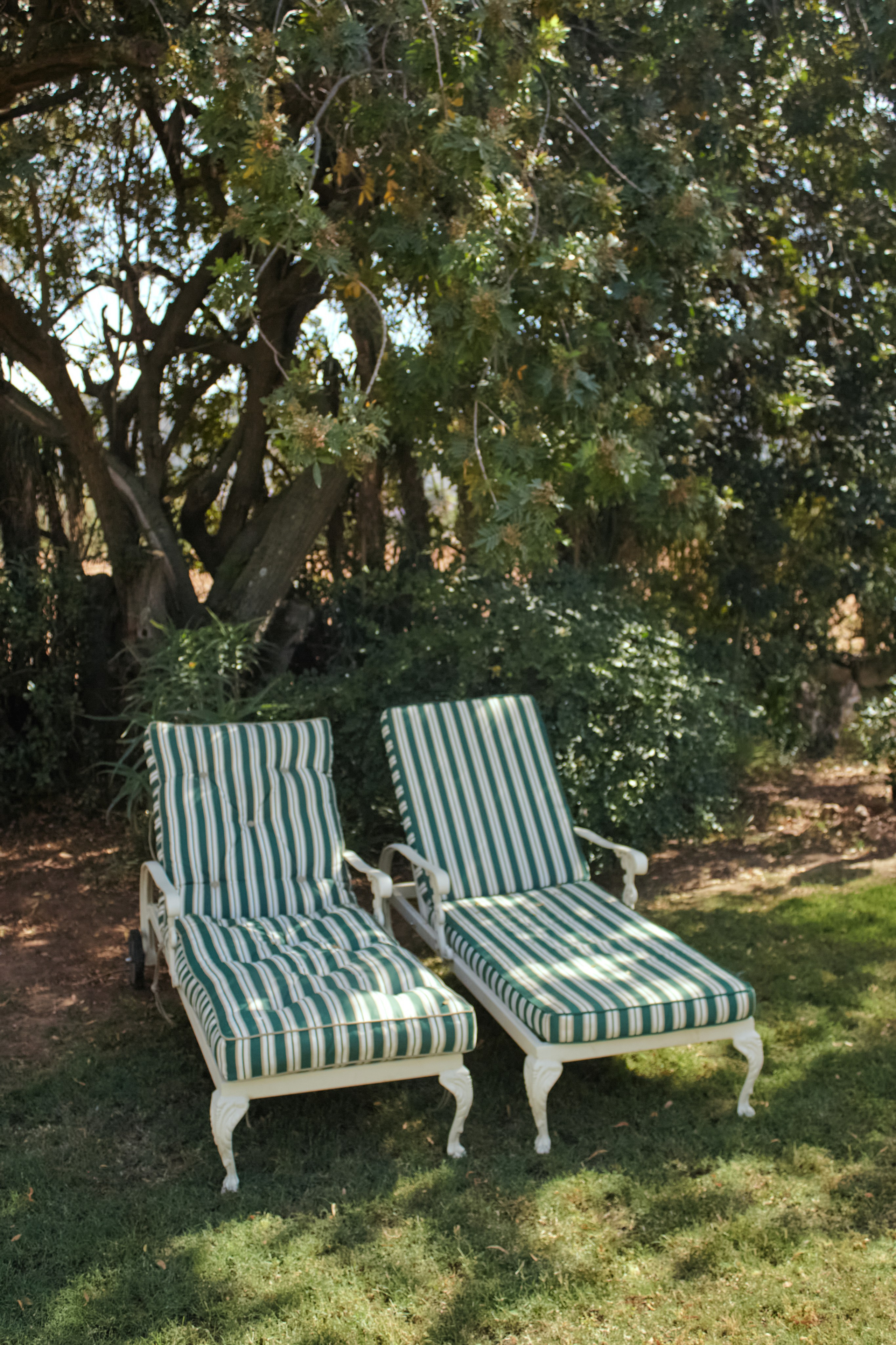 ЮАР. Профессиональный Фотограф во Владимире, в Москве и в Суздале — Полина Романычева