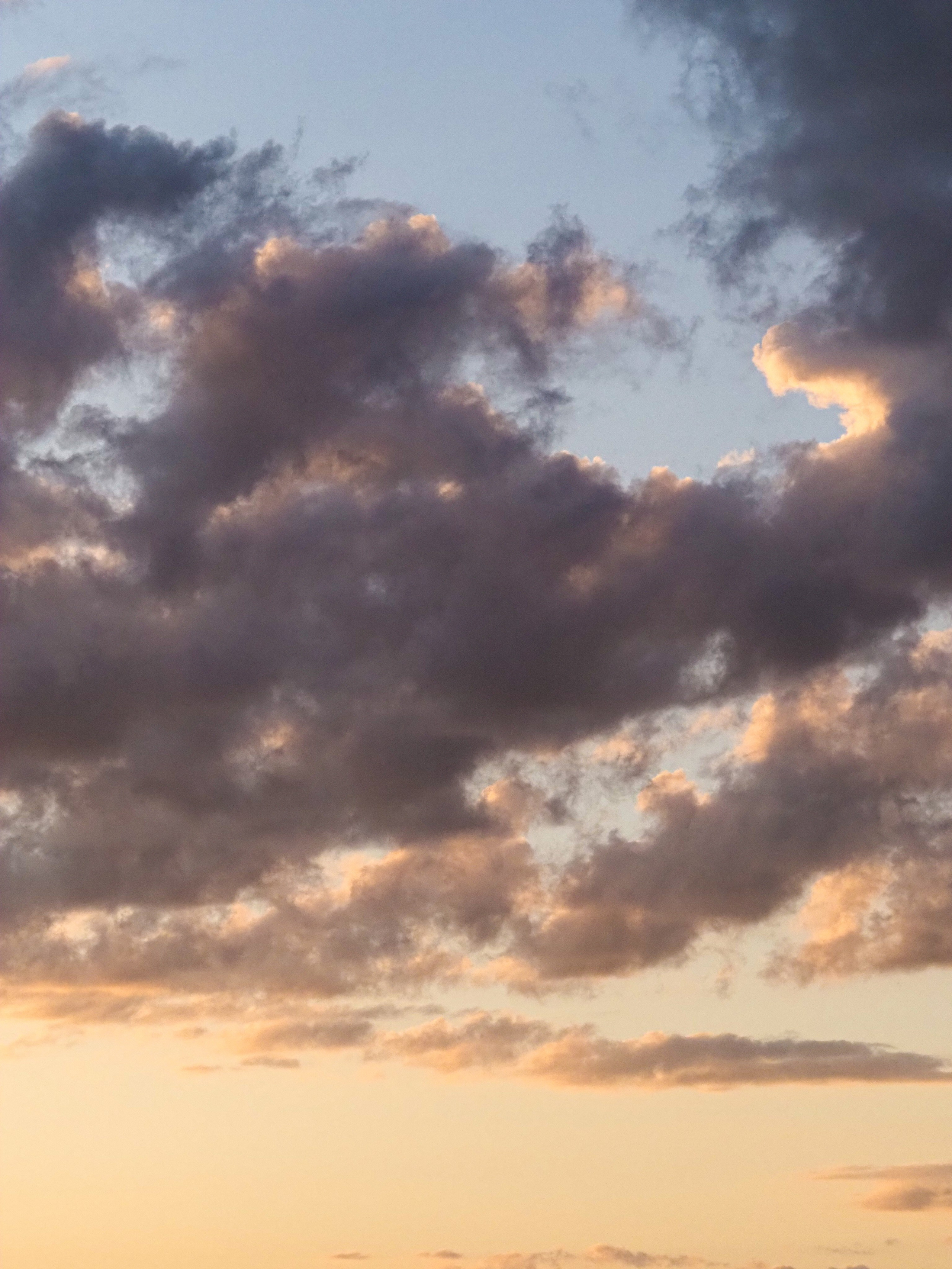 Инна и Алексей. Фотограф Рязань. Семейный Свадебный фотограф