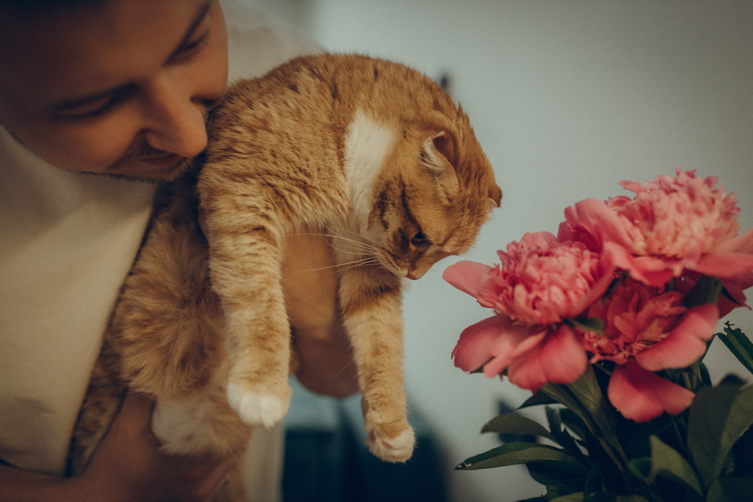 Аня & Кирилл. Семейный фотограф и фотограф на роды в Ростове-на-Дону Мухина Виктория